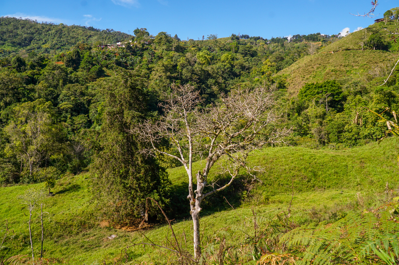0 bed Land For Sale in Perez Zeledon, San Jose - thumb 19