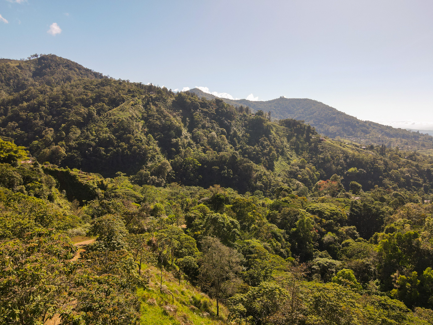 0 bed Land For Sale in Perez Zeledon, San Jose - thumb 12