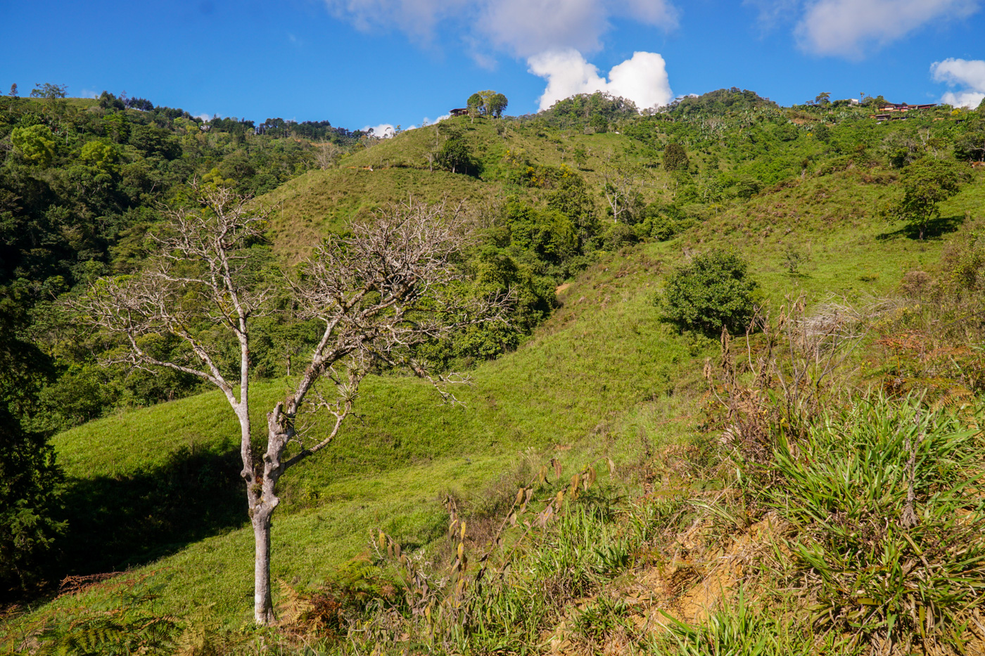 0 bed Land For Sale in Perez Zeledon, San Jose - thumb 13