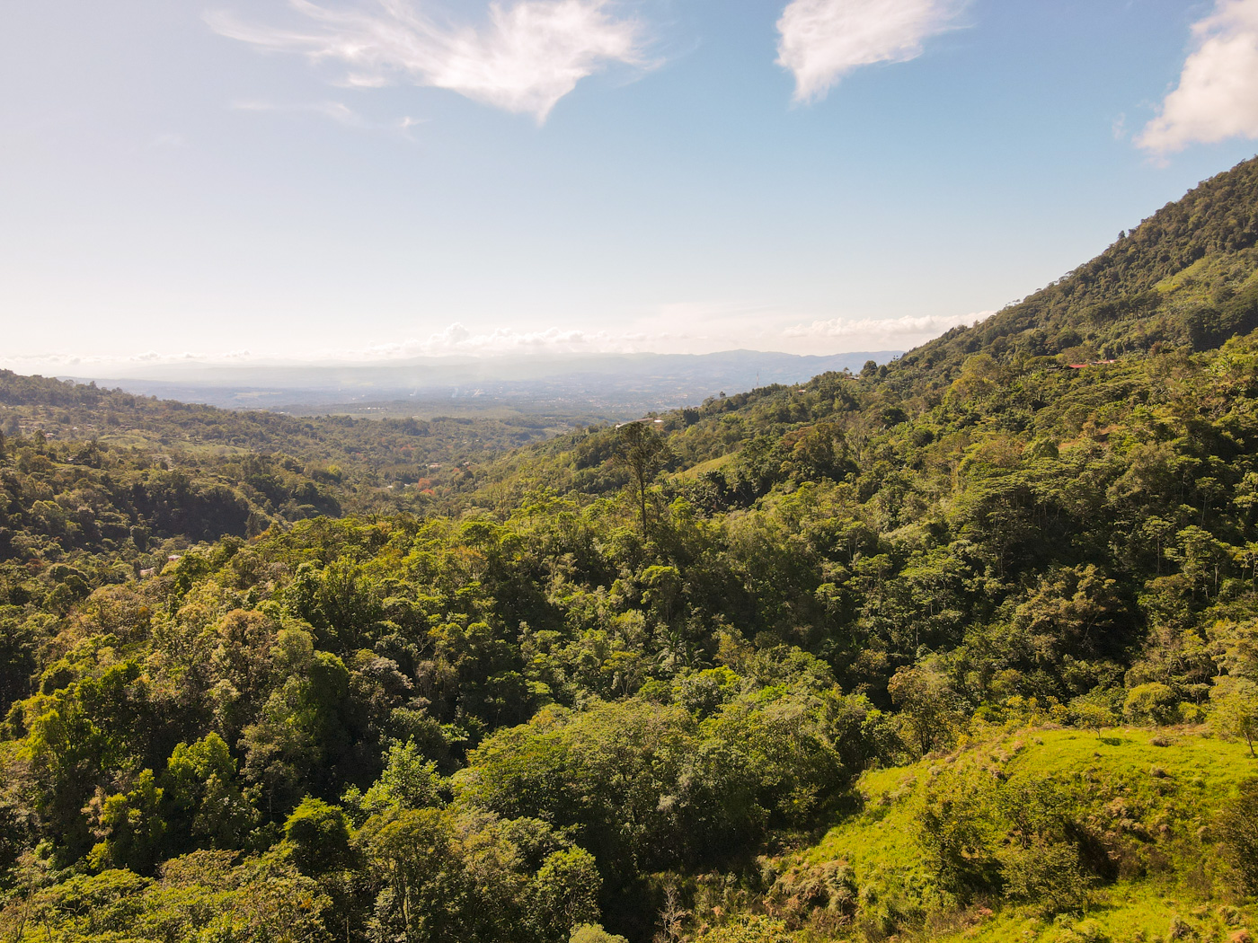 0 bed Land For Sale in Perez Zeledon, San Jose - thumb 9