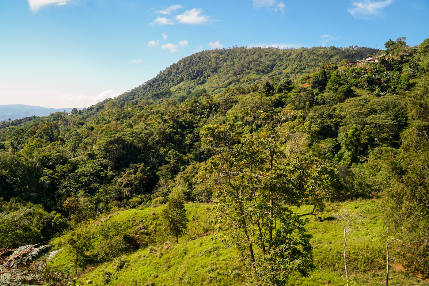 0 bed Land For Sale in Perez Zeledon, San Jose - thumb 14