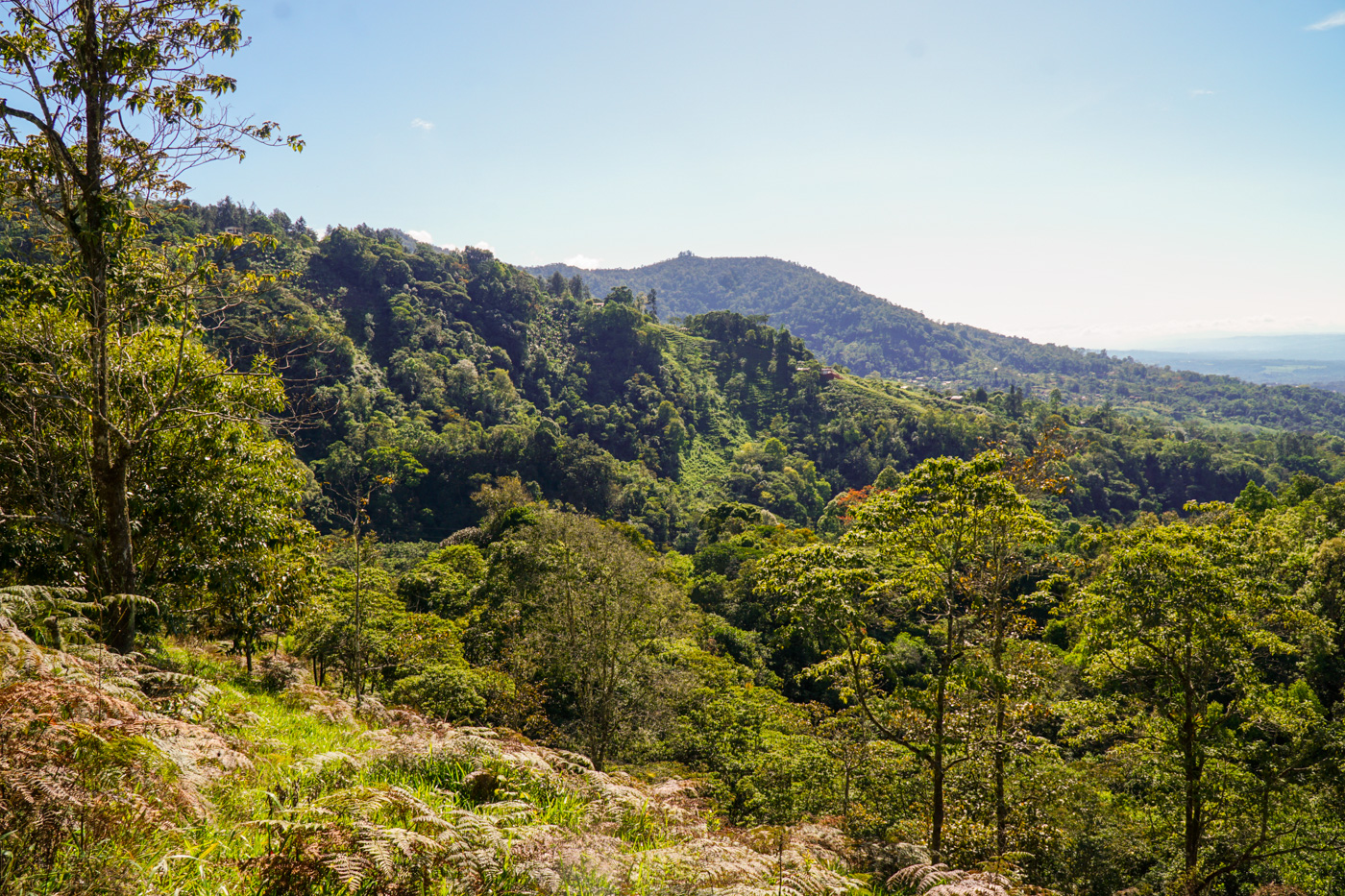 0 bed Land For Sale in Perez Zeledon, San Jose - thumb 22