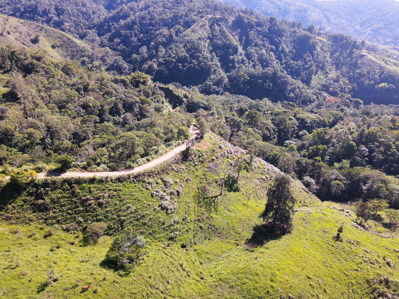 0 bed Land For Sale in Perez Zeledon, San Jose - thumb 1