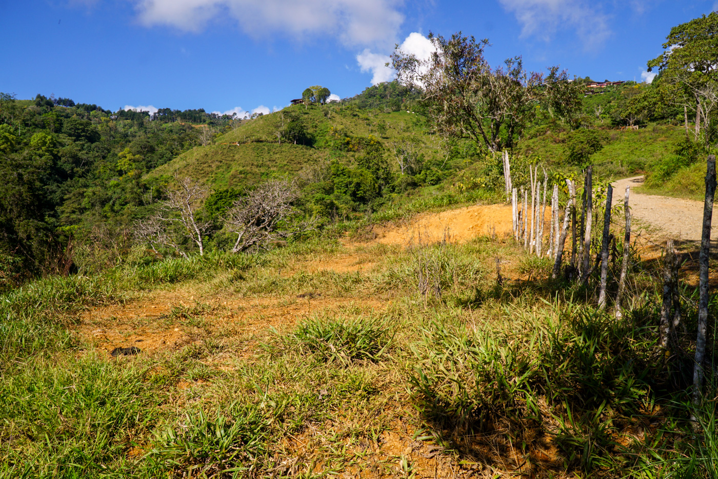 0 bed Land For Sale in Perez Zeledon, San Jose - thumb 21