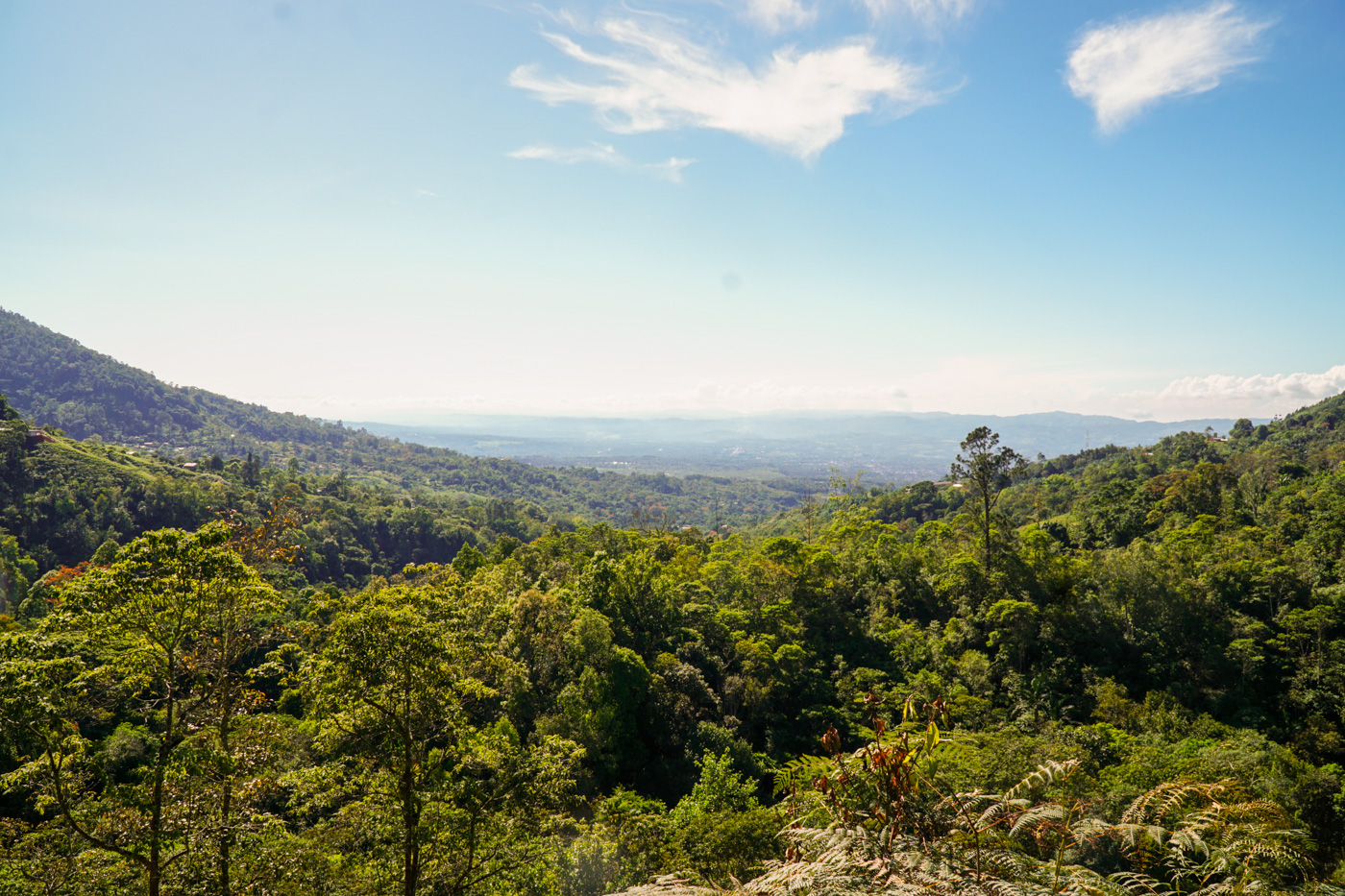 0 bed Land For Sale in Perez Zeledon, San Jose - thumb 23