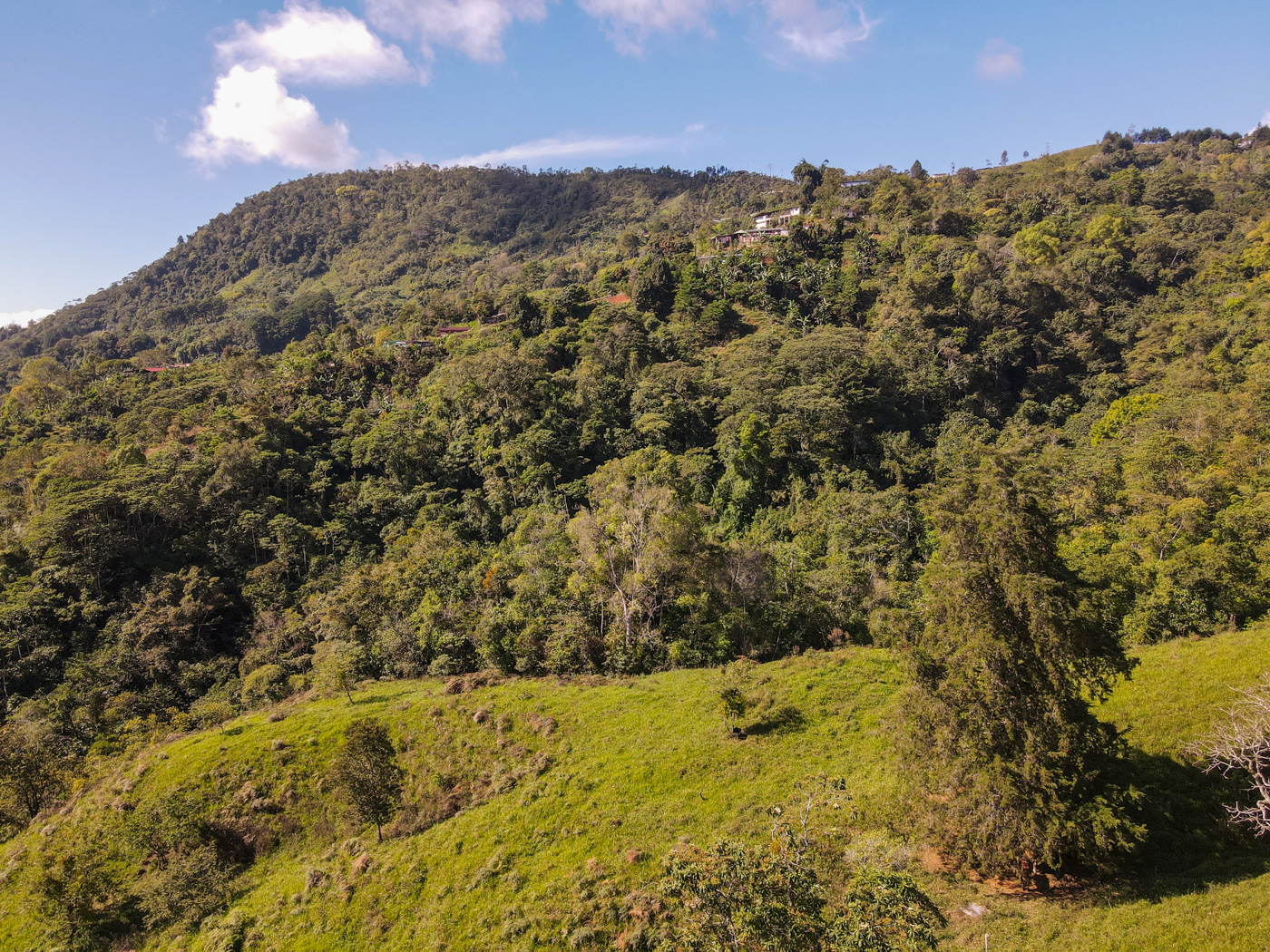 0 bed Land For Sale in Perez Zeledon, San Jose - thumb 10