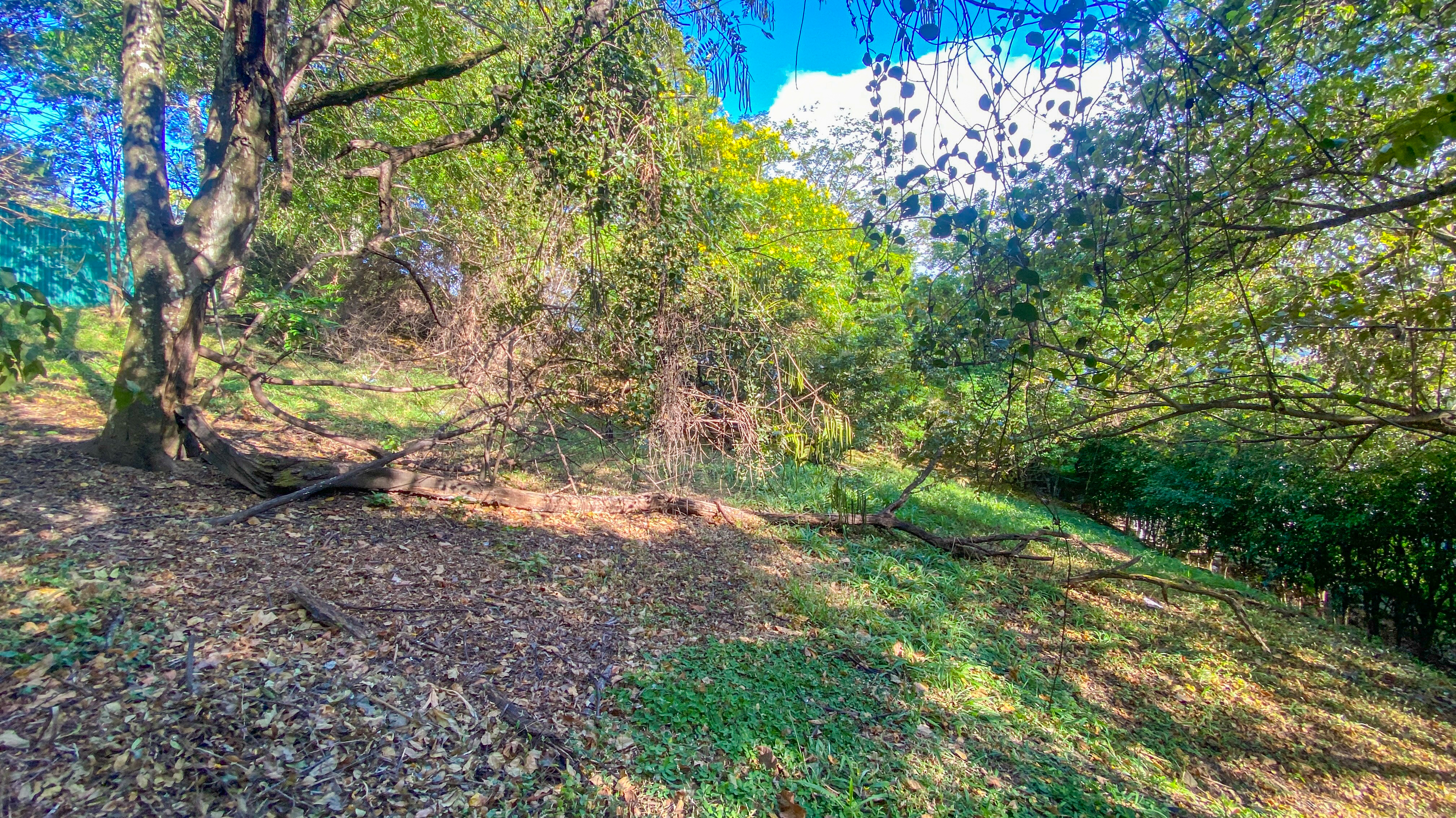 0 bed Land For Sale in Pozos, San Jose - thumb 2