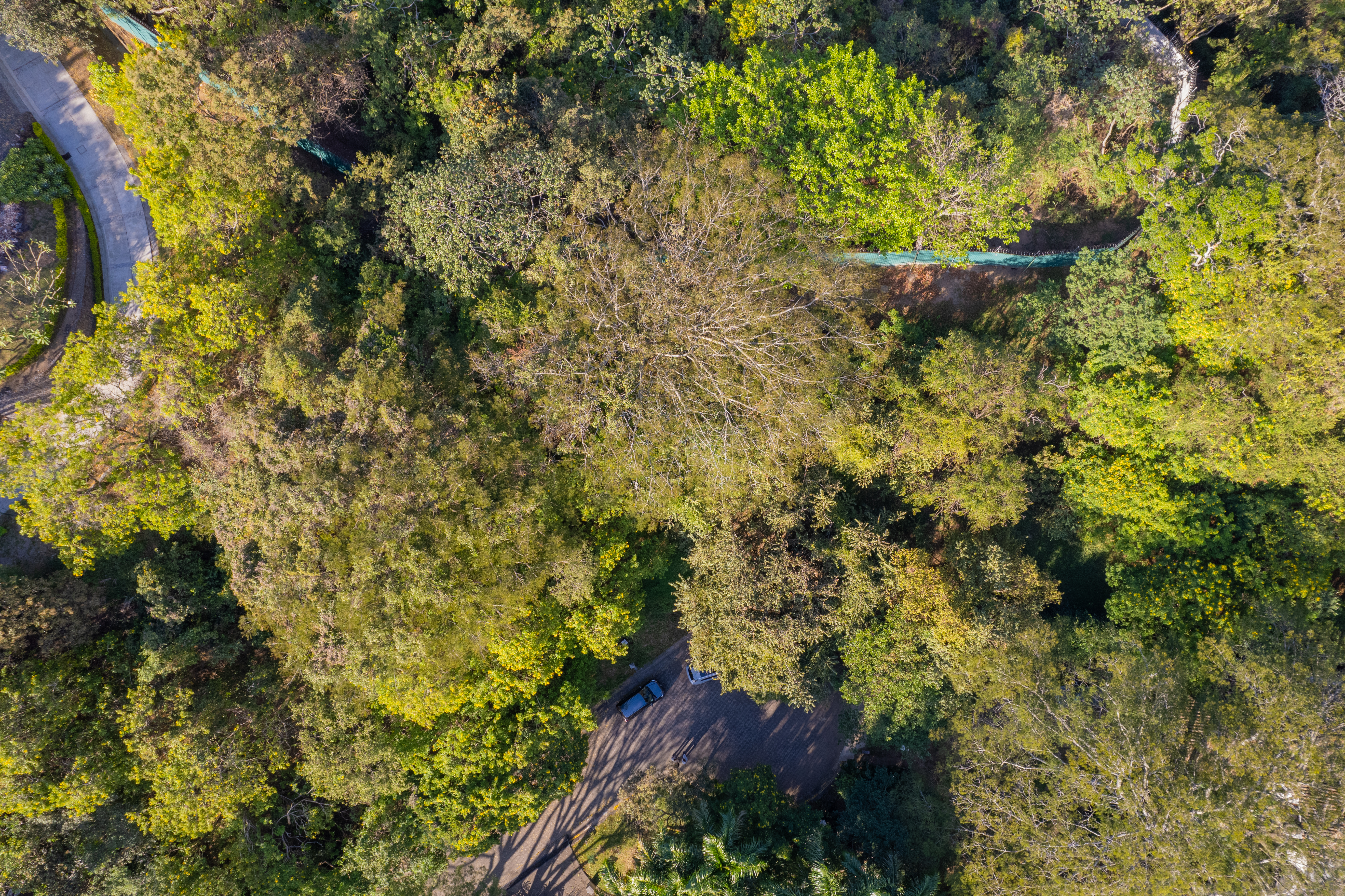 0 bed Land For Sale in Pozos, San Jose - thumb 3