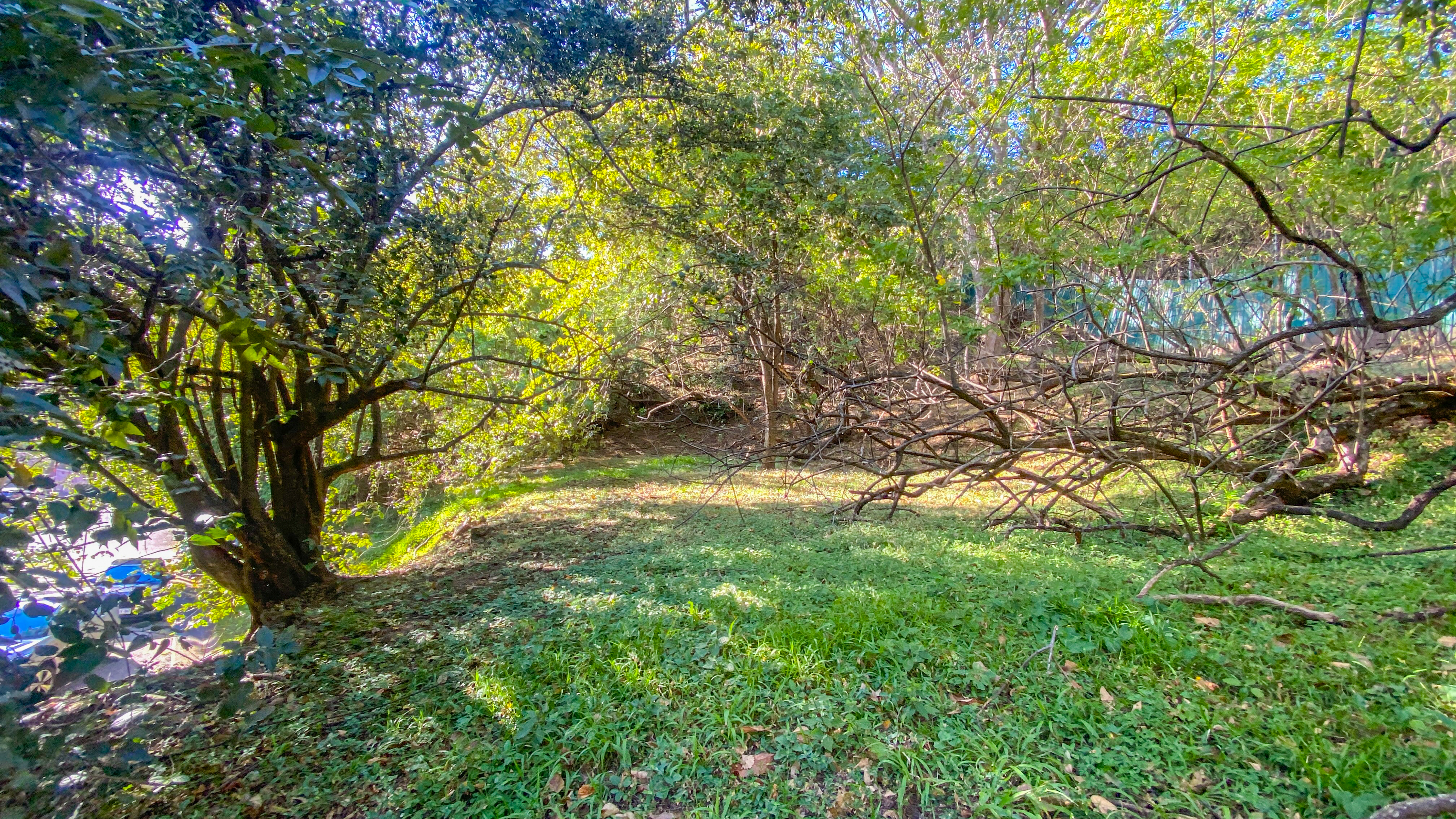 0 bed Land For Sale in Pozos, San Jose - thumb 1