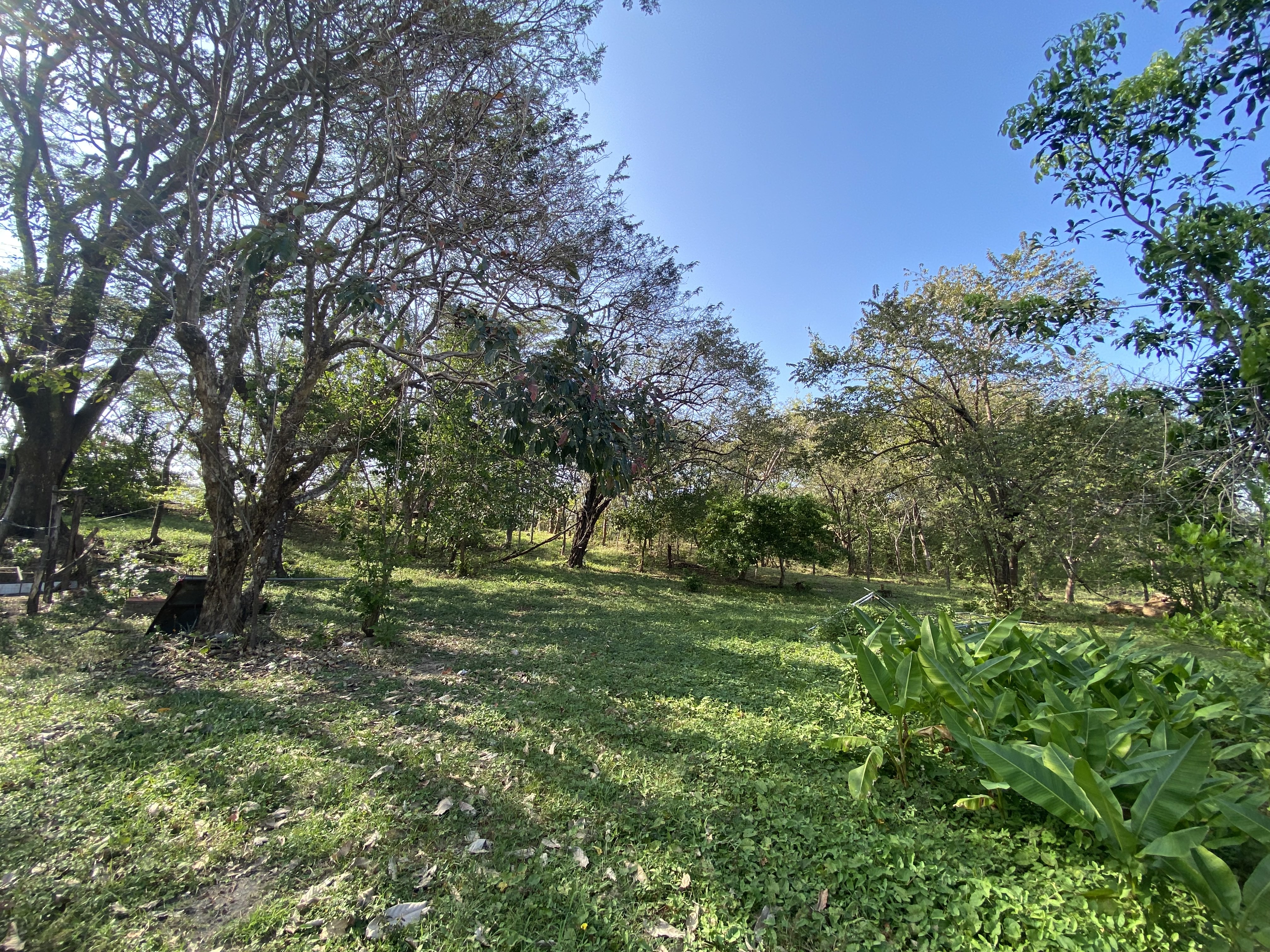 0 bed Land For Sale in Samara, Guanacaste - thumb 6