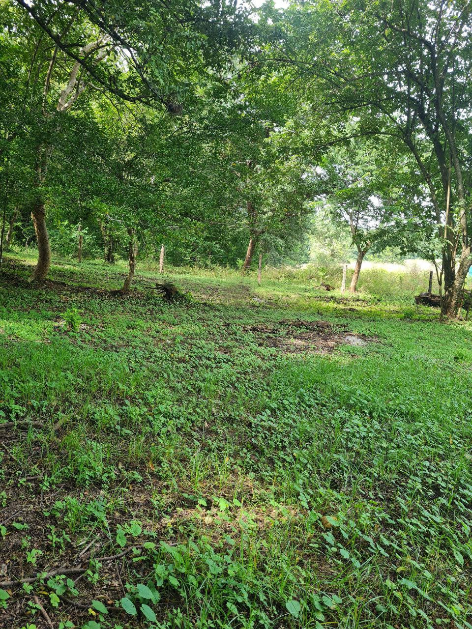 0 bed Land For Sale in Samara, Guanacaste - thumb 2