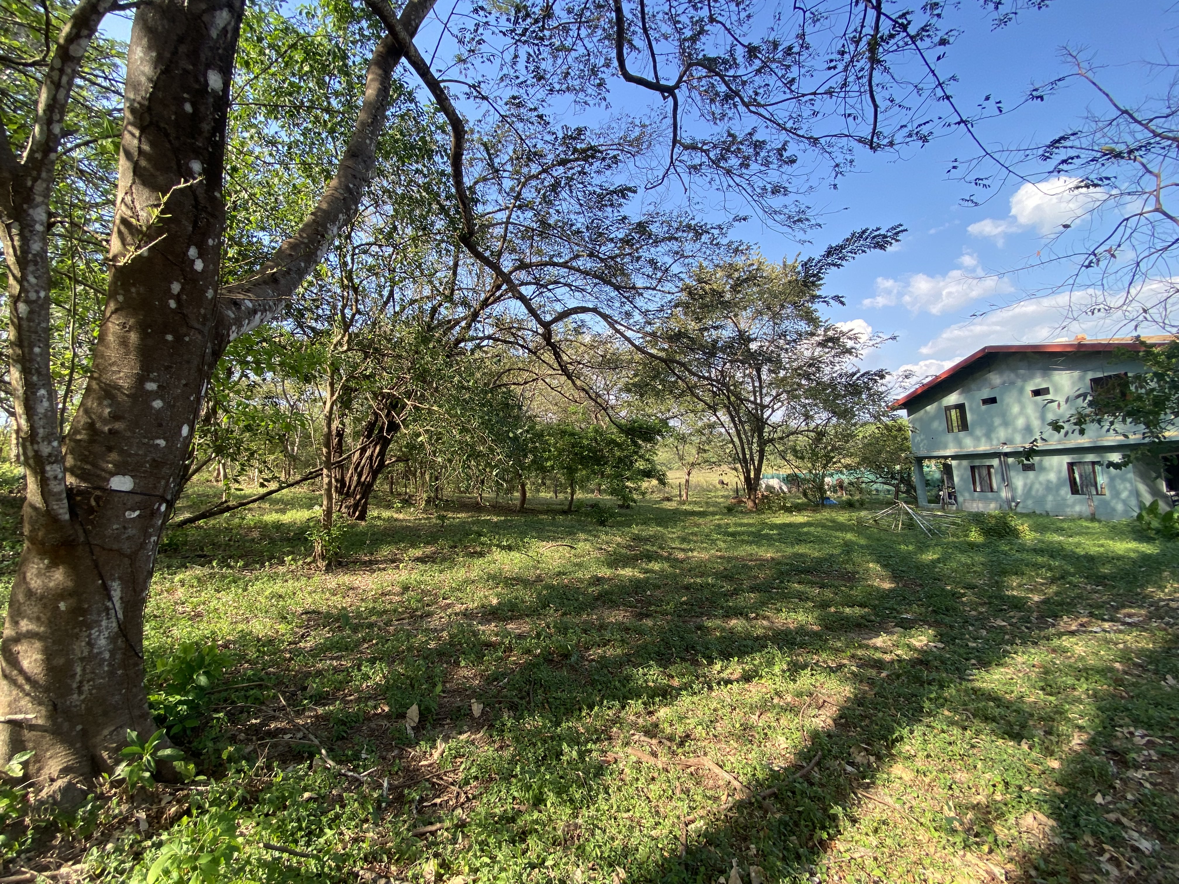 0 bed Land For Sale in Samara, Guanacaste - thumb 8