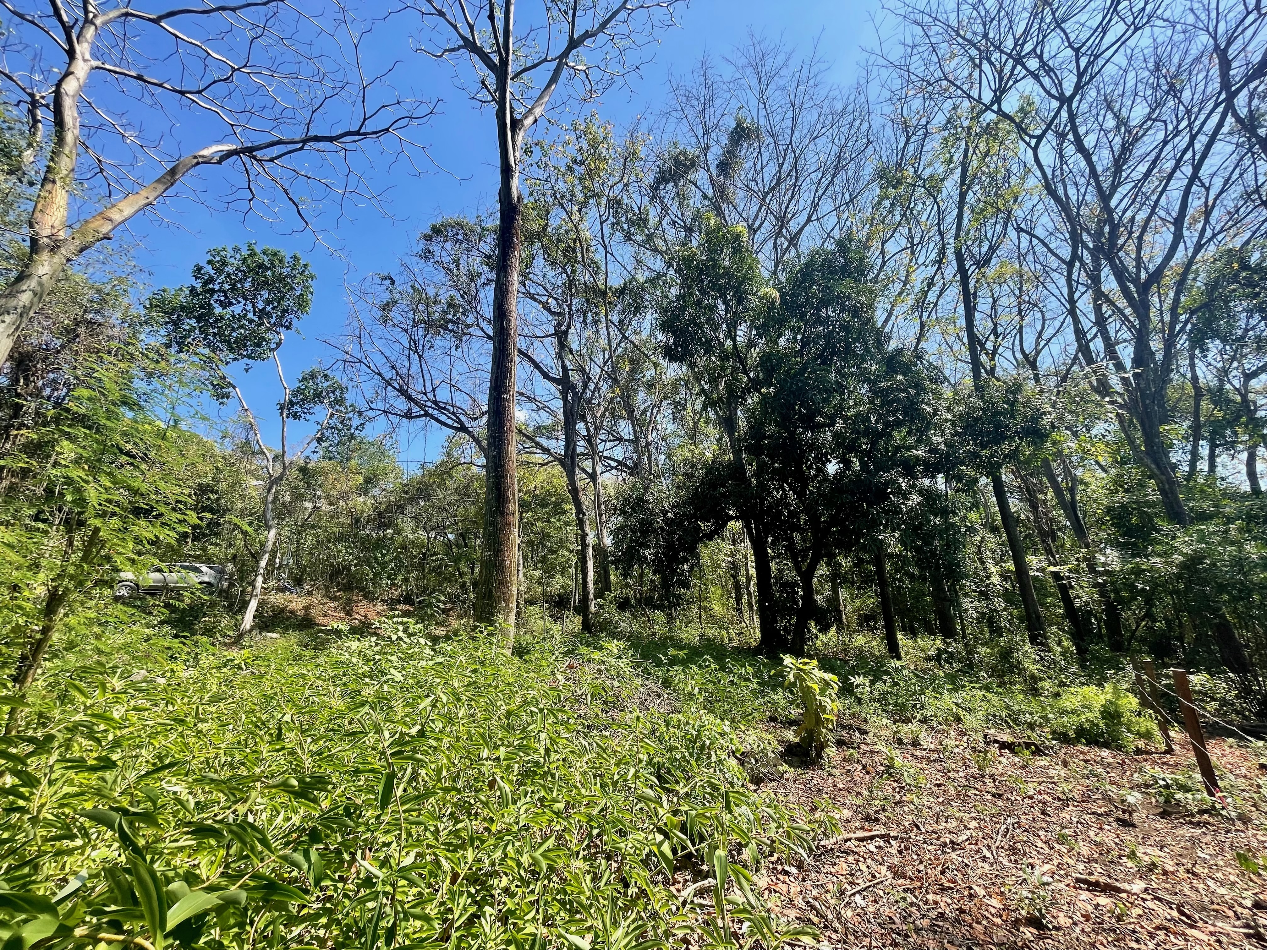 0 bed Land For Sale in Nosara, Guanacaste - thumb 15