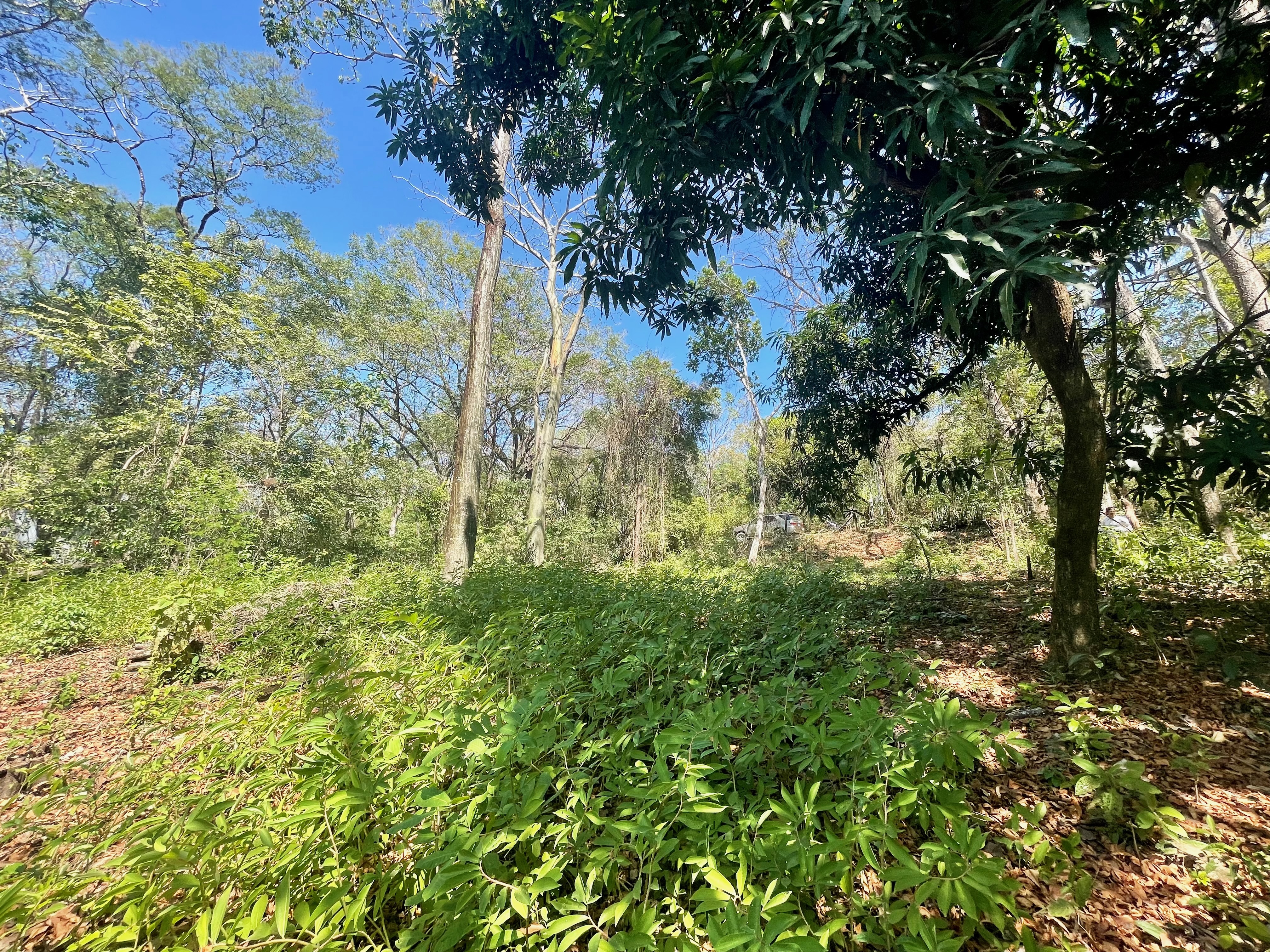0 bed Land For Sale in Nosara, Guanacaste - thumb 12