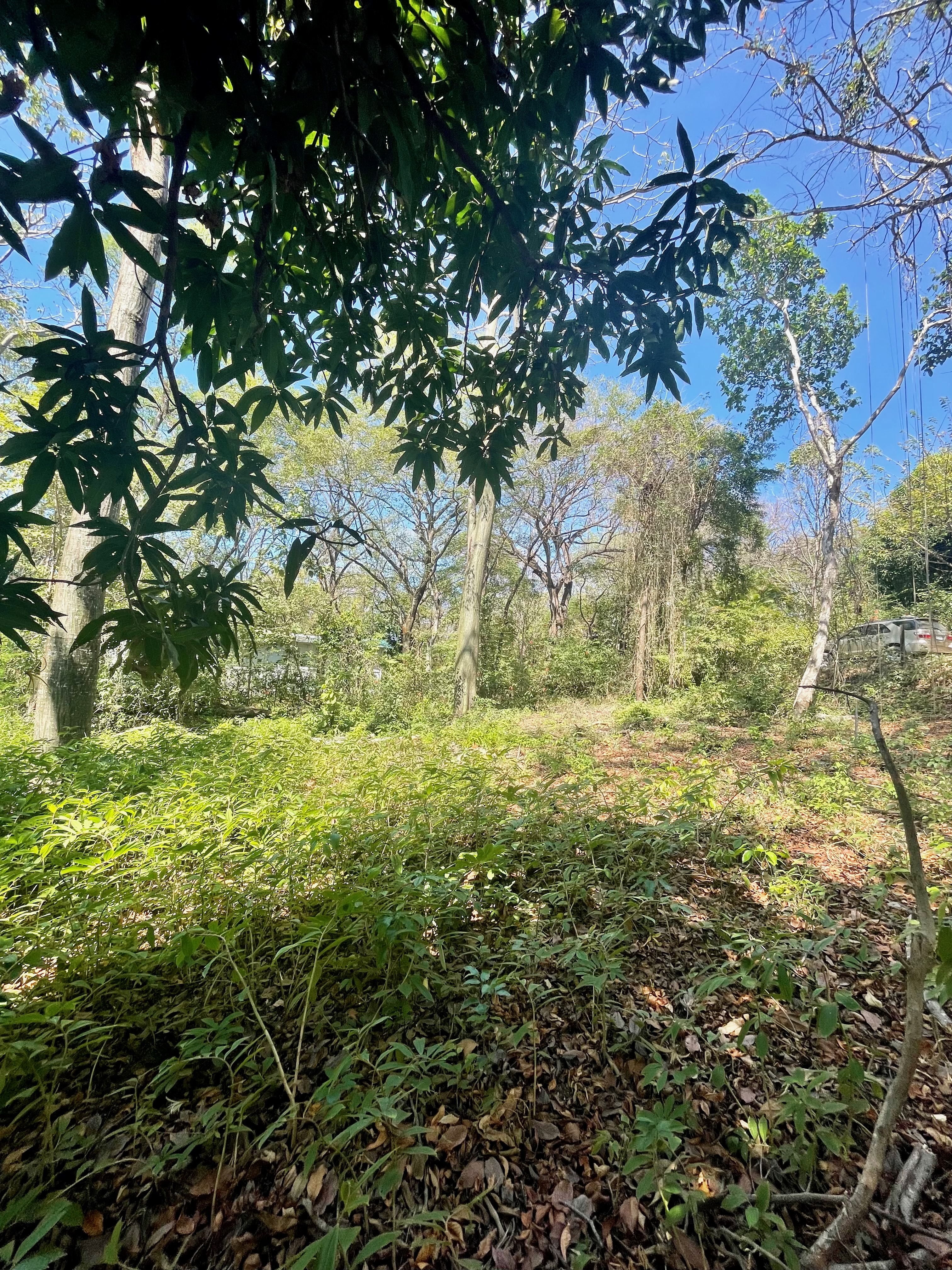 0 bed Land For Sale in Nosara, Guanacaste - thumb 11