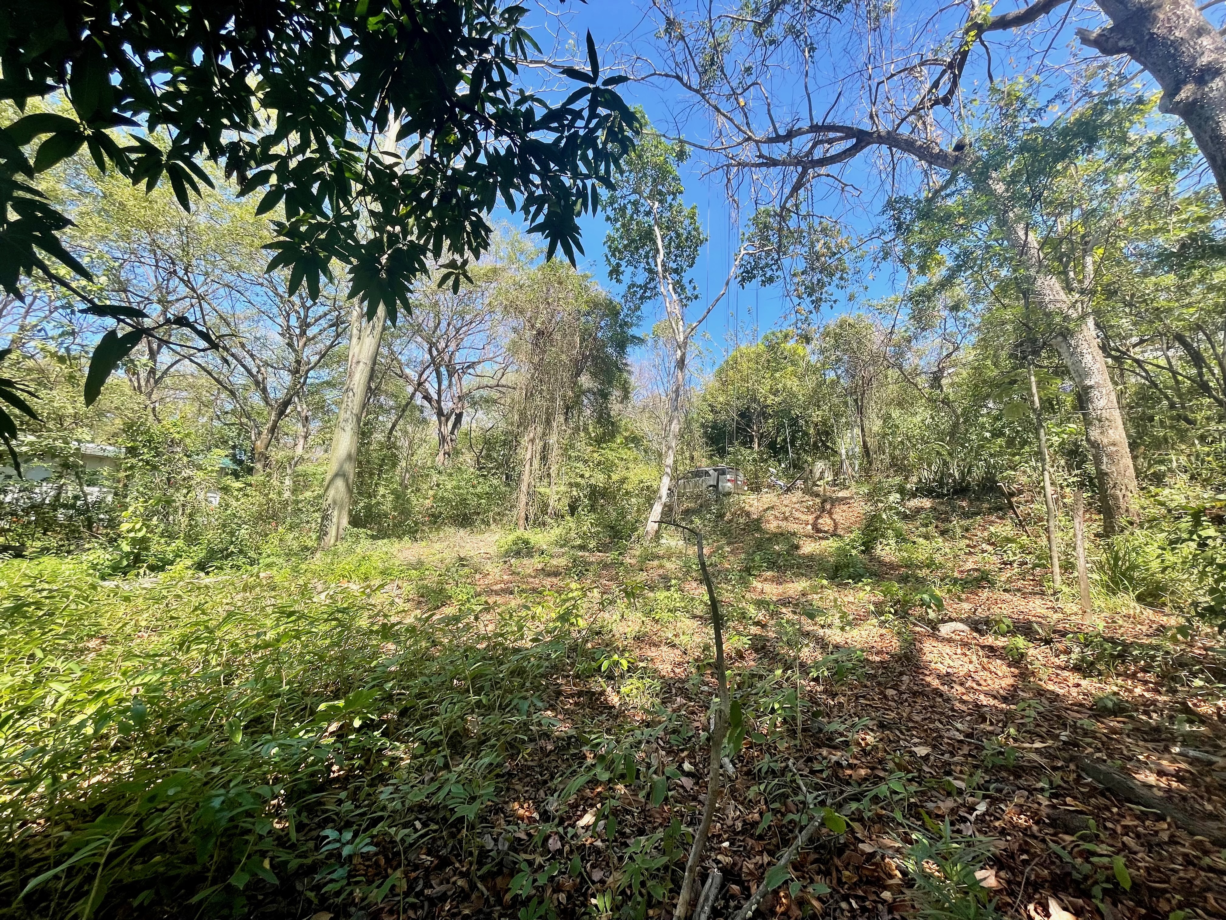 0 bed Land For Sale in Nosara, Guanacaste - thumb 9