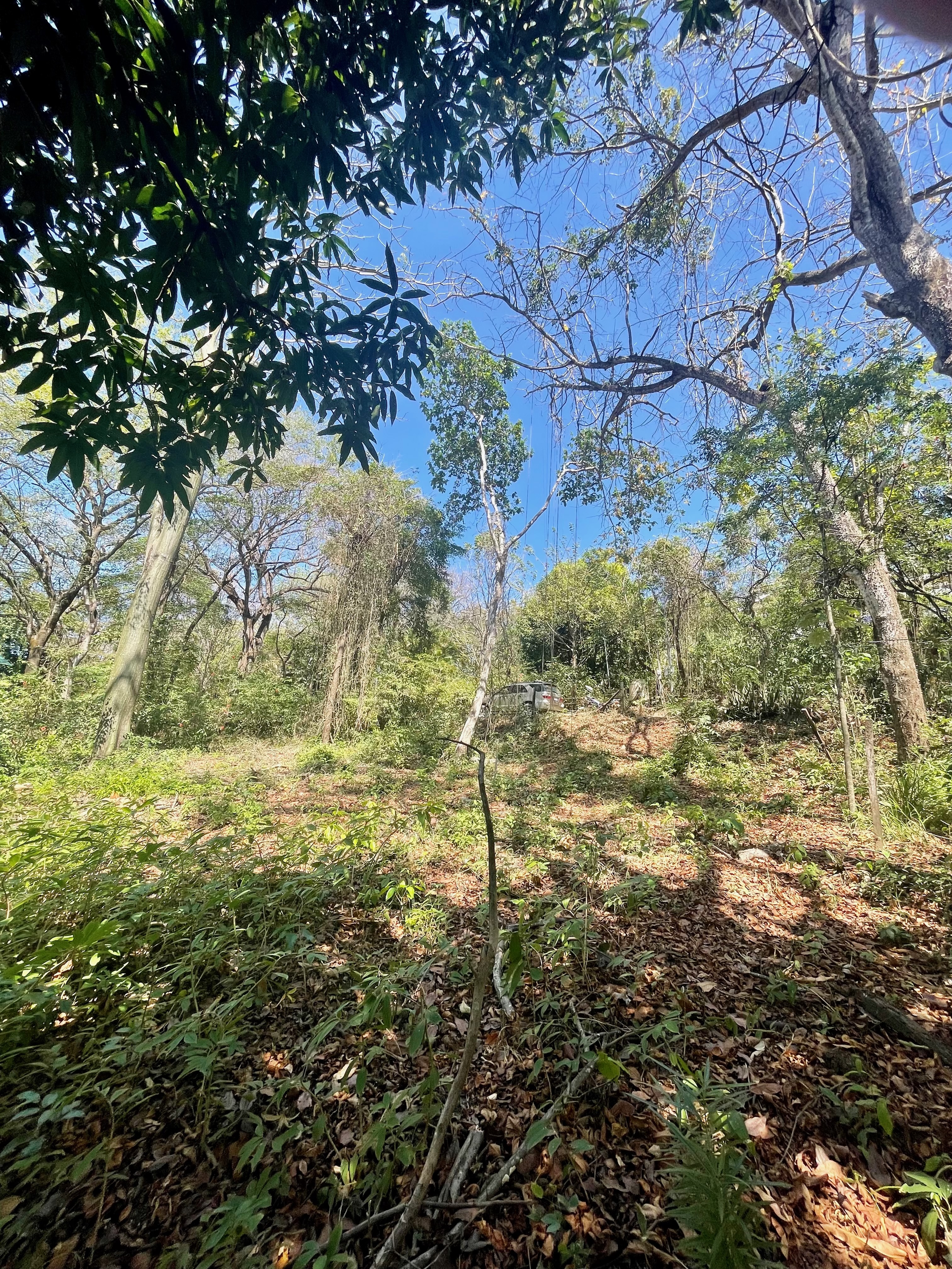 0 bed Land For Sale in Nosara, Guanacaste - thumb 10