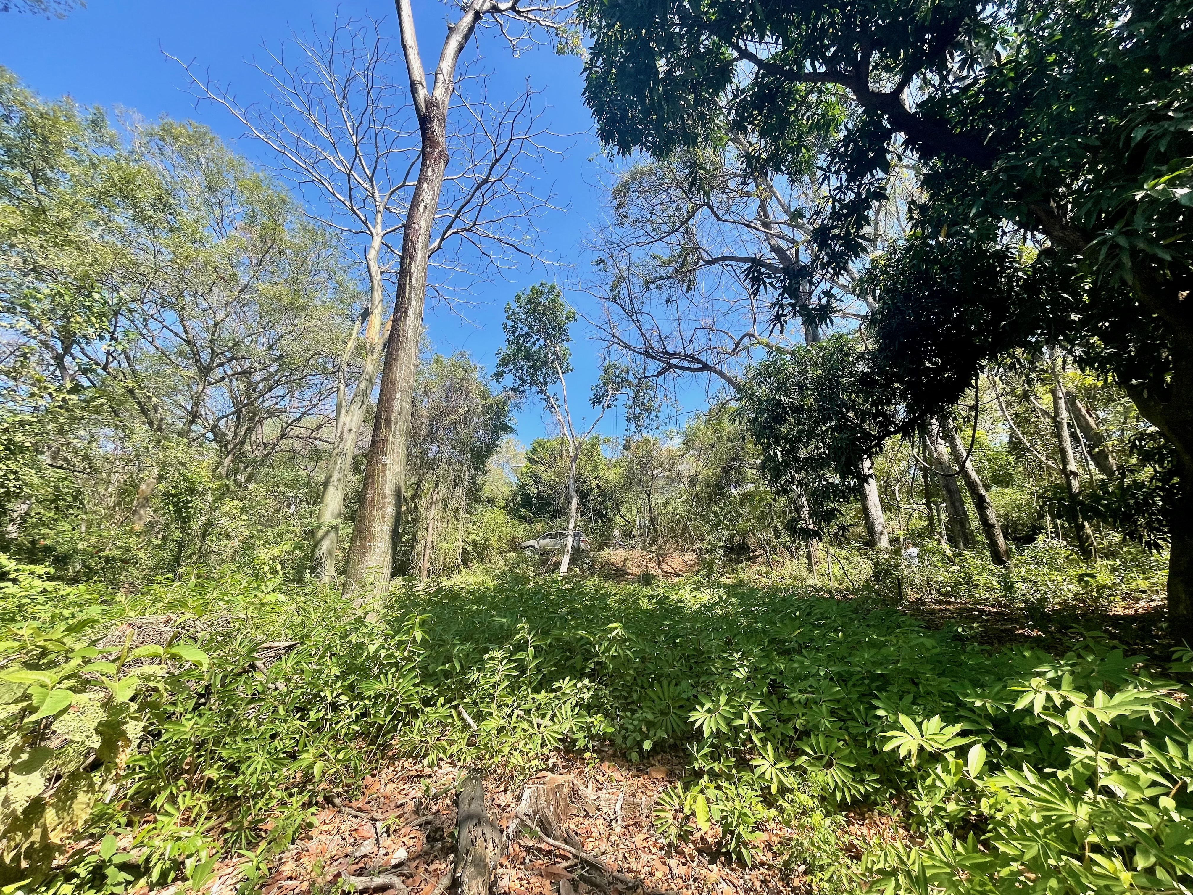 0 bed Land For Sale in Nosara, Guanacaste - thumb 14