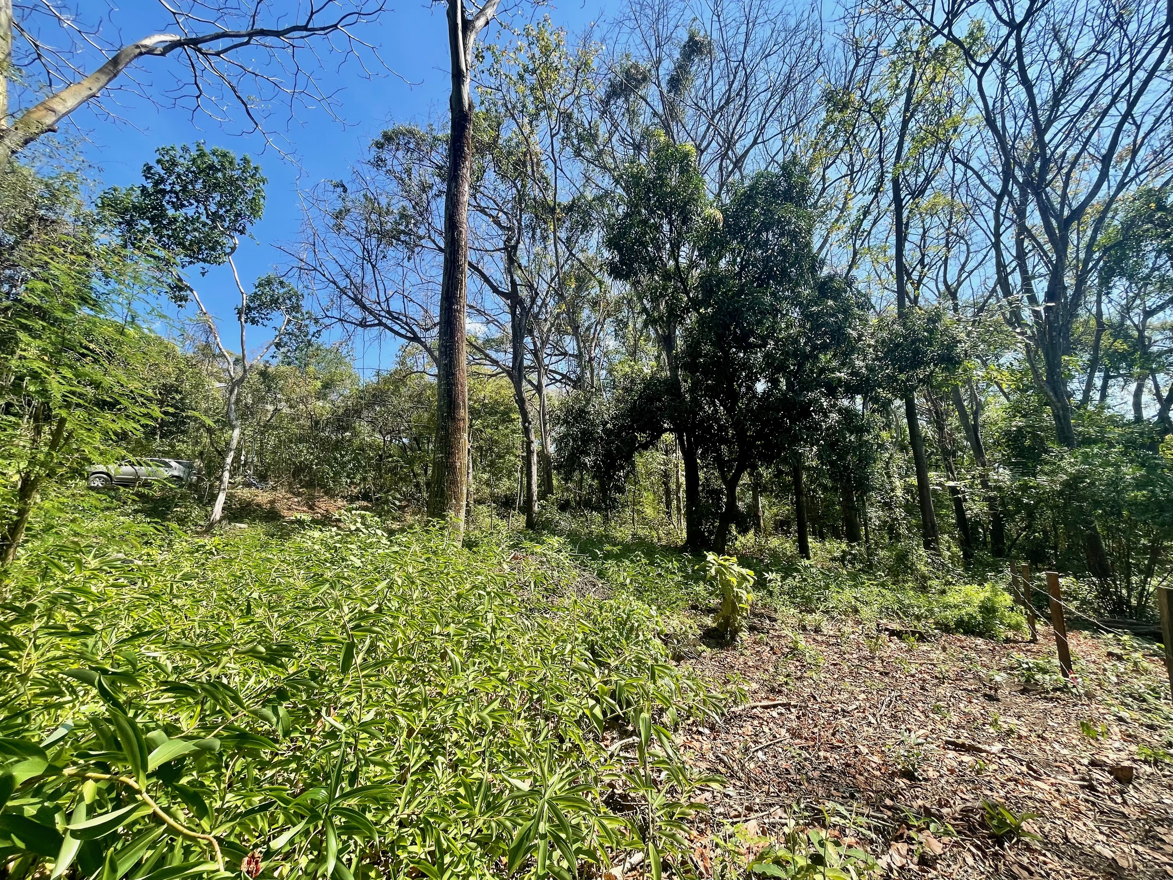0 bed Land For Sale in Nosara, Guanacaste - thumb 18