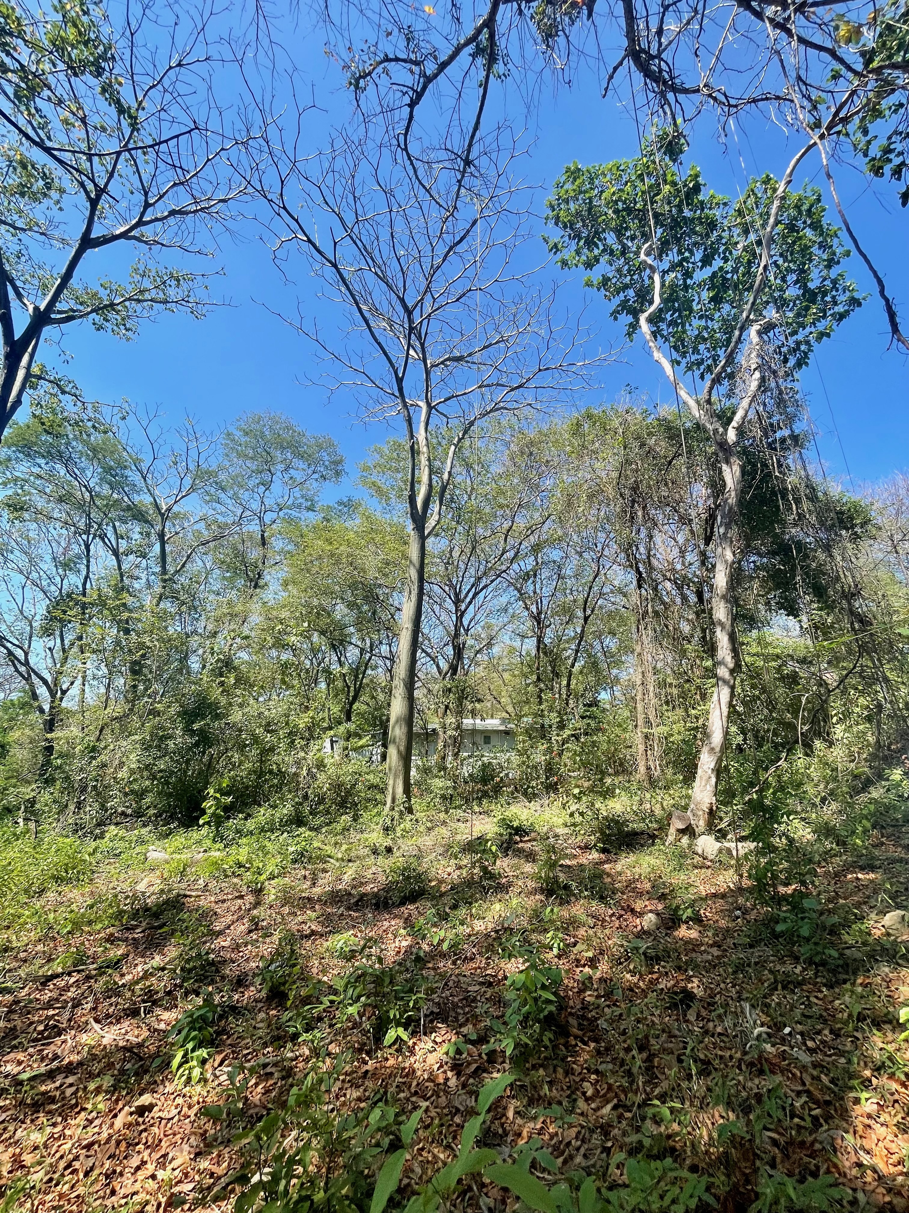 0 bed Land For Sale in Nosara, Guanacaste - thumb 6