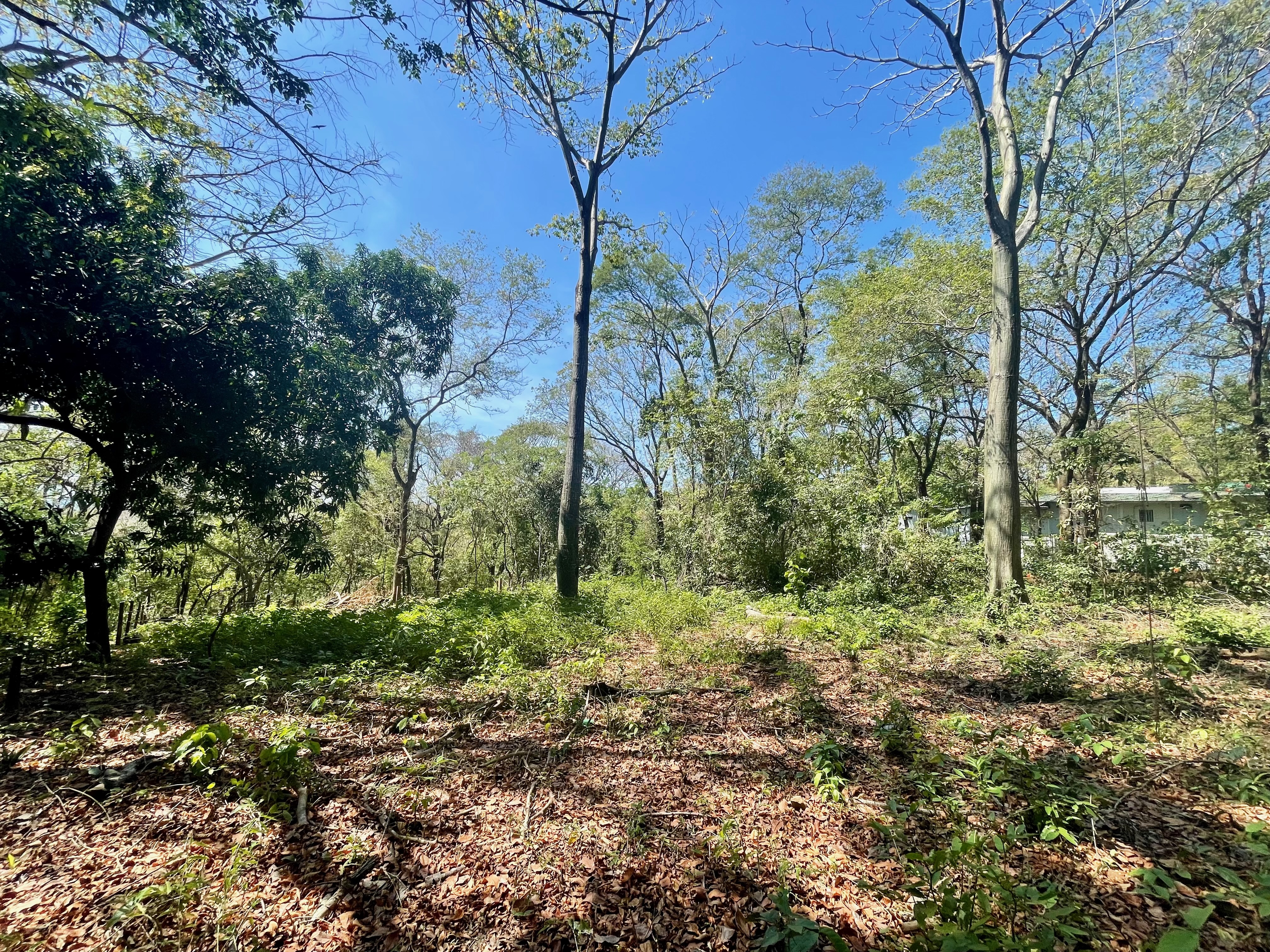0 bed Land For Sale in Nosara, Guanacaste - thumb 1