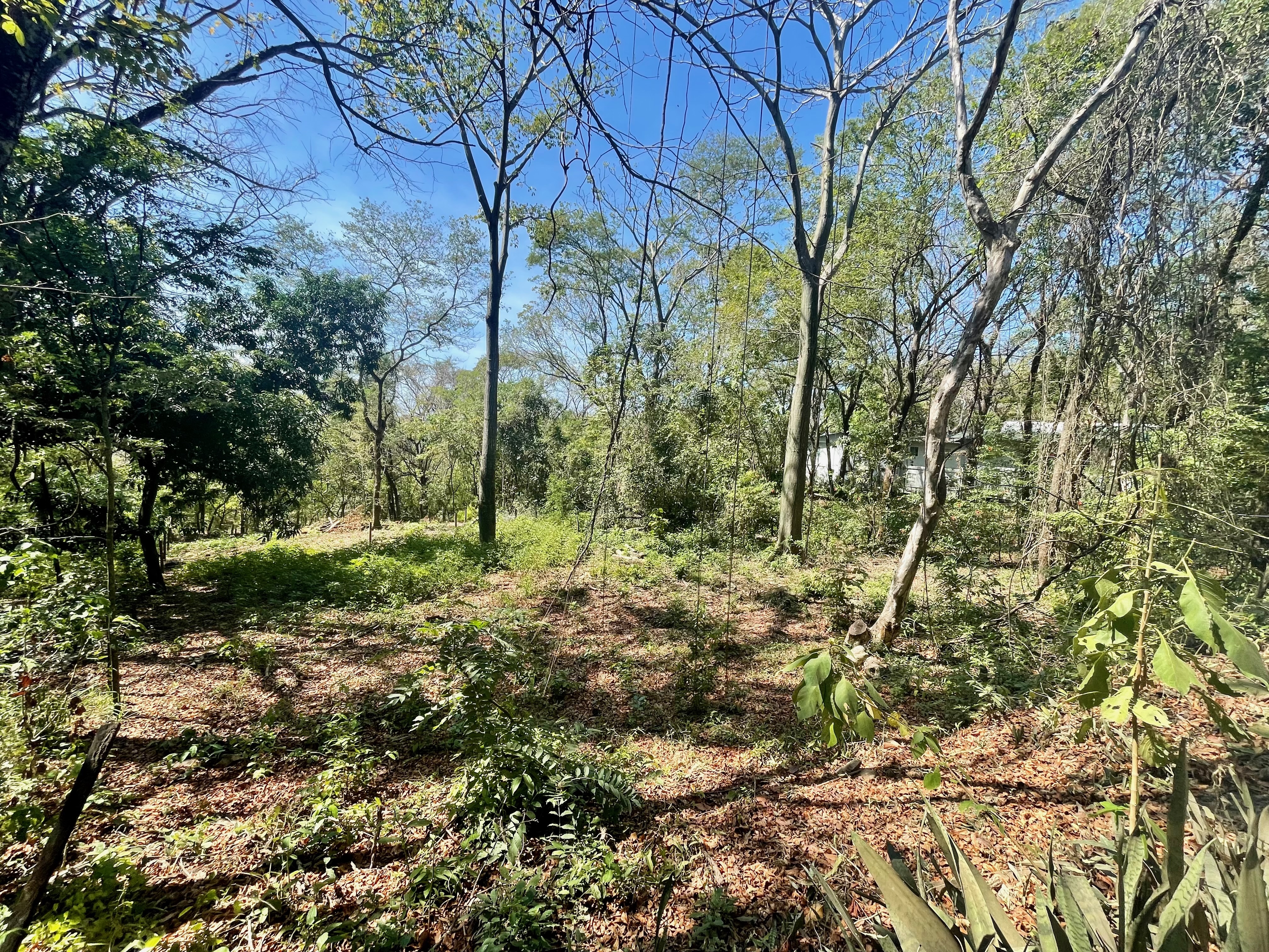 0 bed Land For Sale in Nosara, Guanacaste - thumb 3