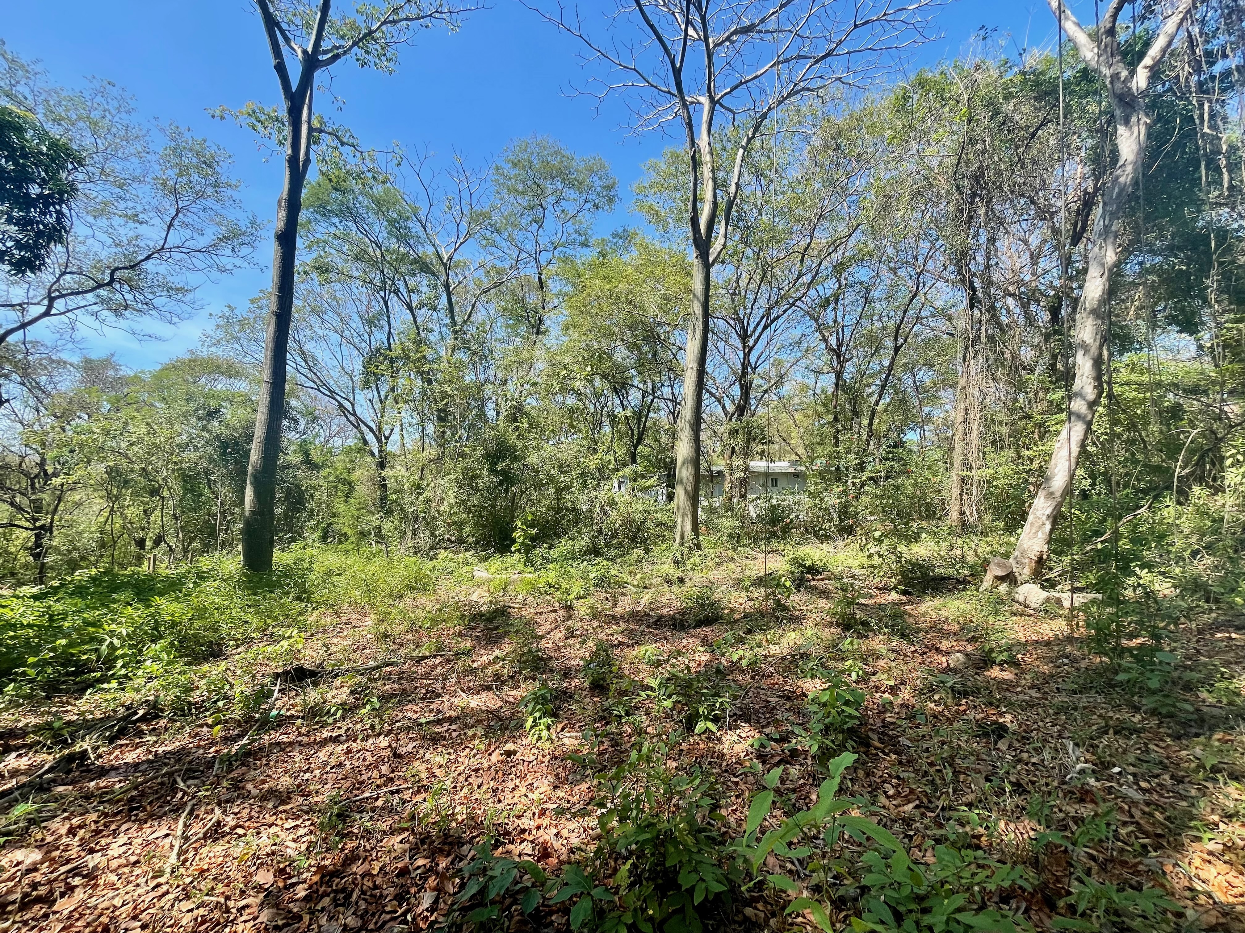 0 bed Land For Sale in Nosara, Guanacaste - thumb 5