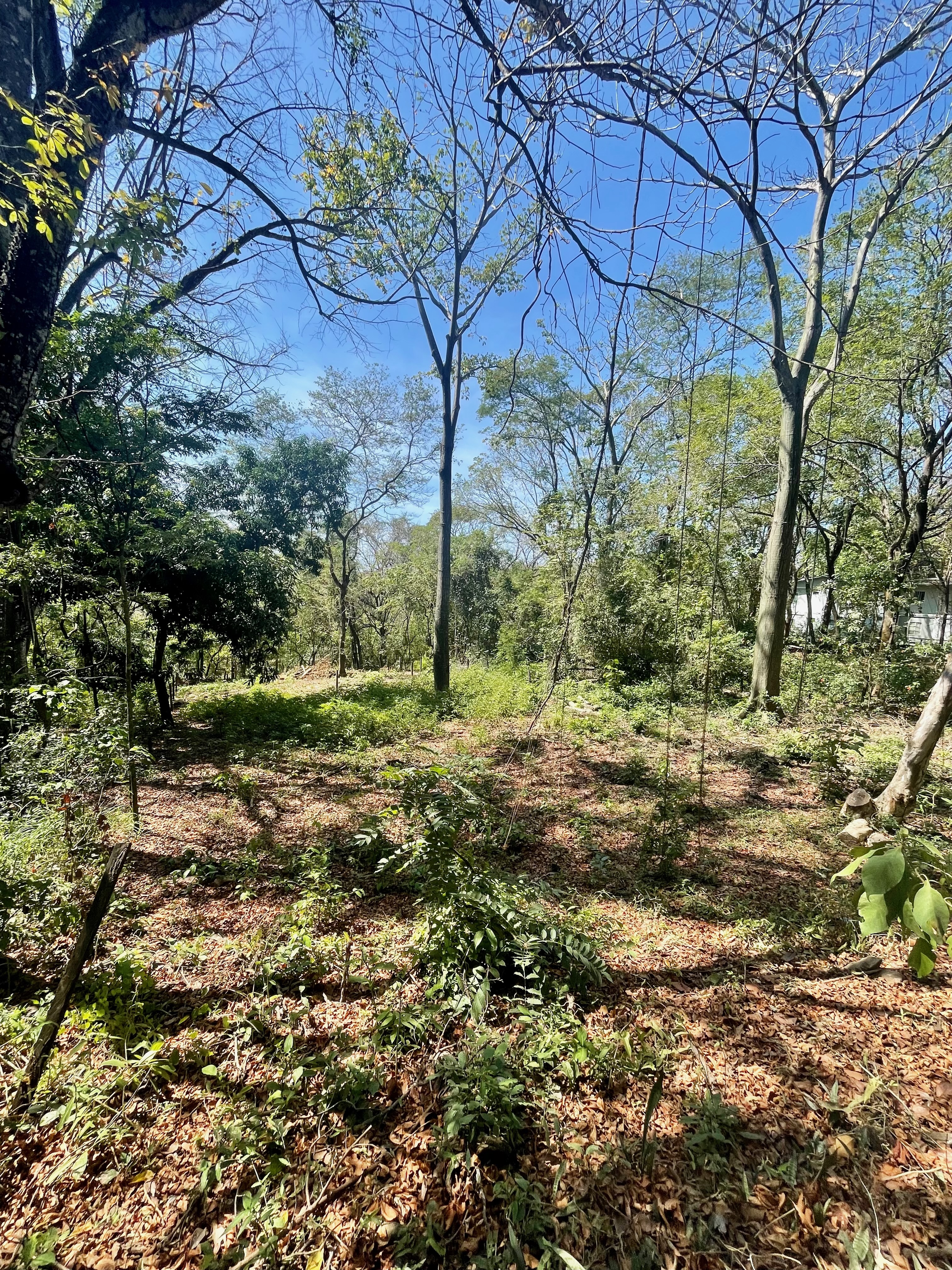 0 bed Land For Sale in Nosara, Guanacaste - thumb 2