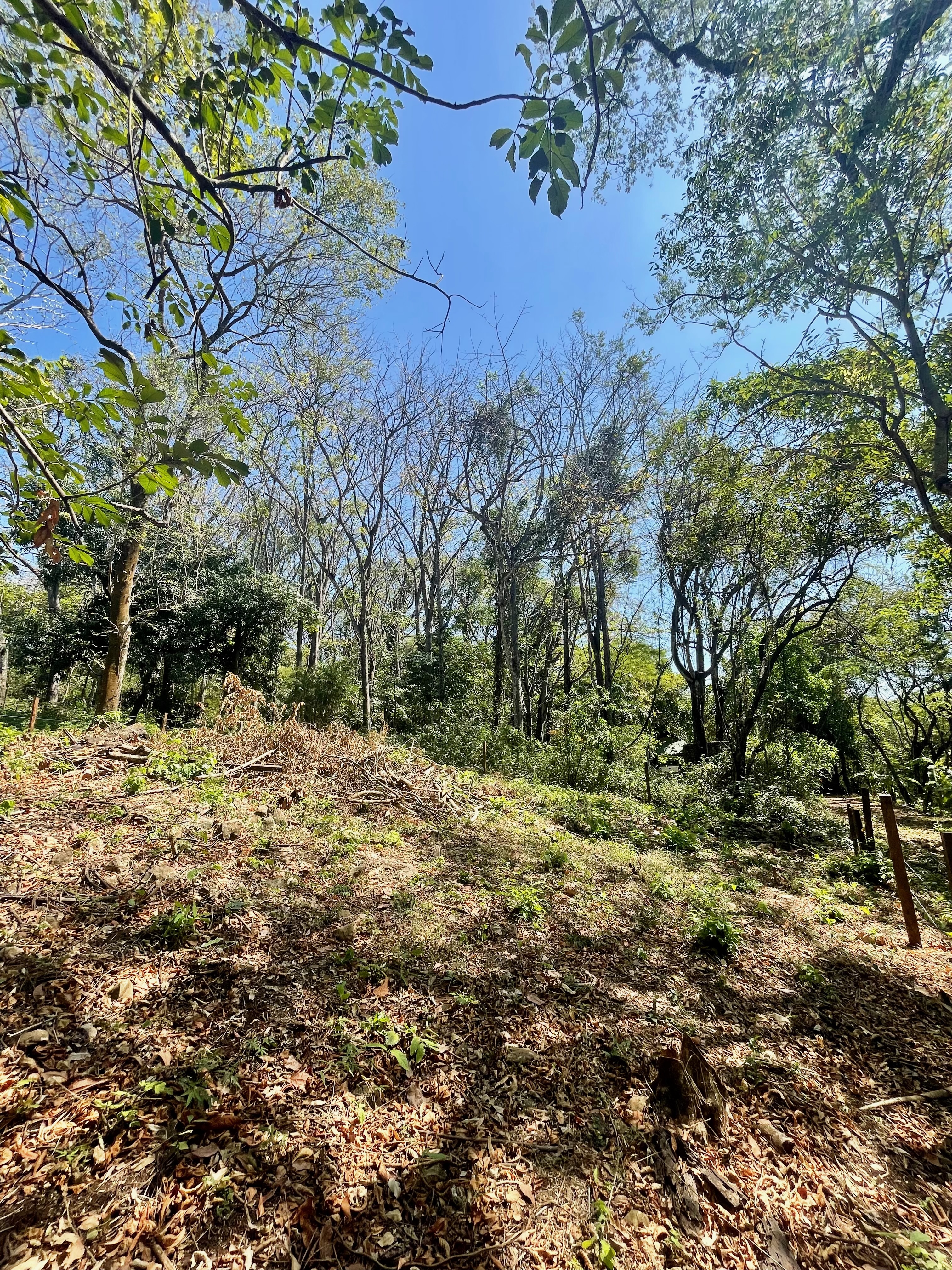 0 bed Land For Sale in Nosara, Guanacaste - thumb 15