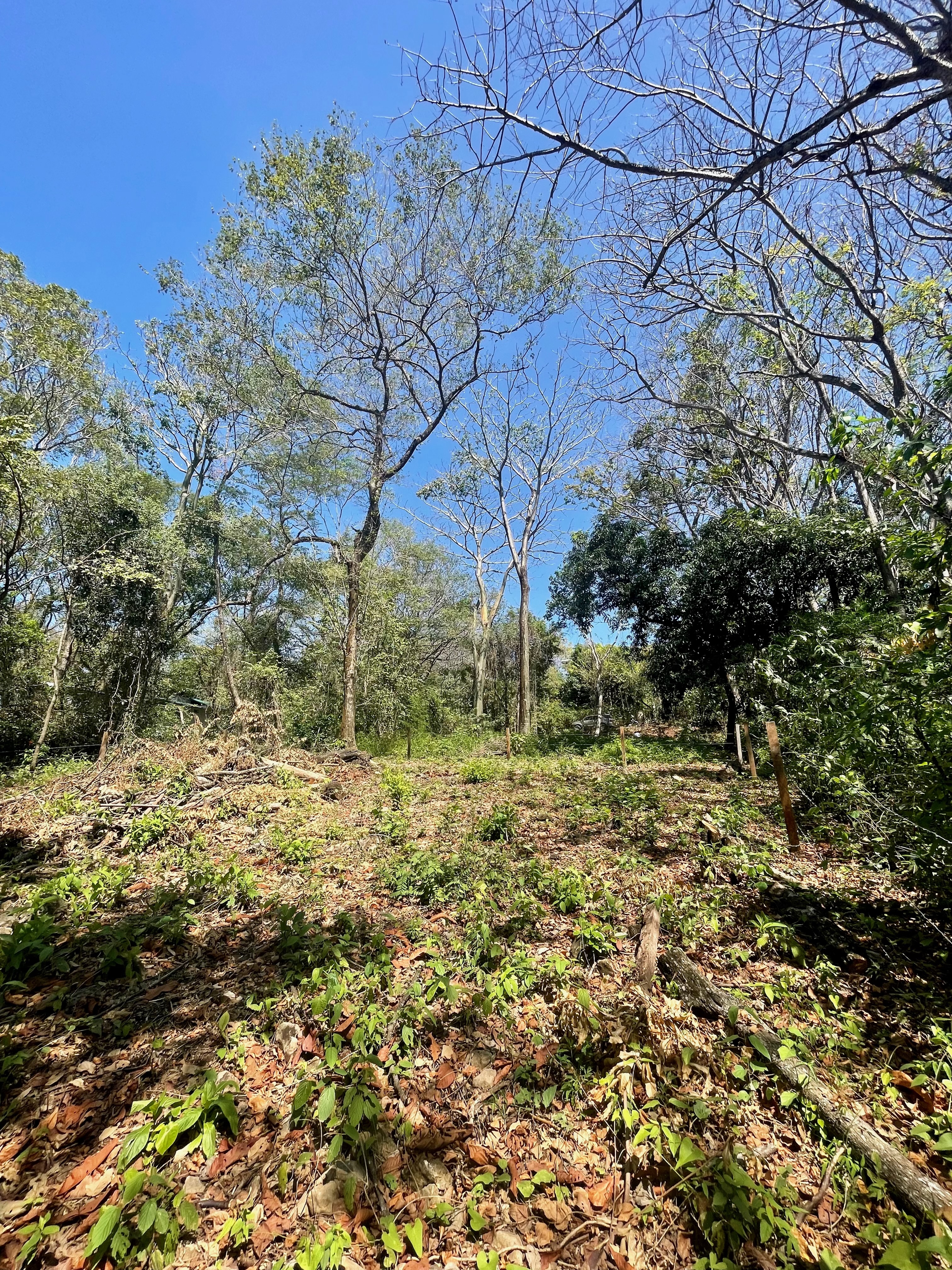 0 bed Land For Sale in Nosara, Guanacaste - thumb 11