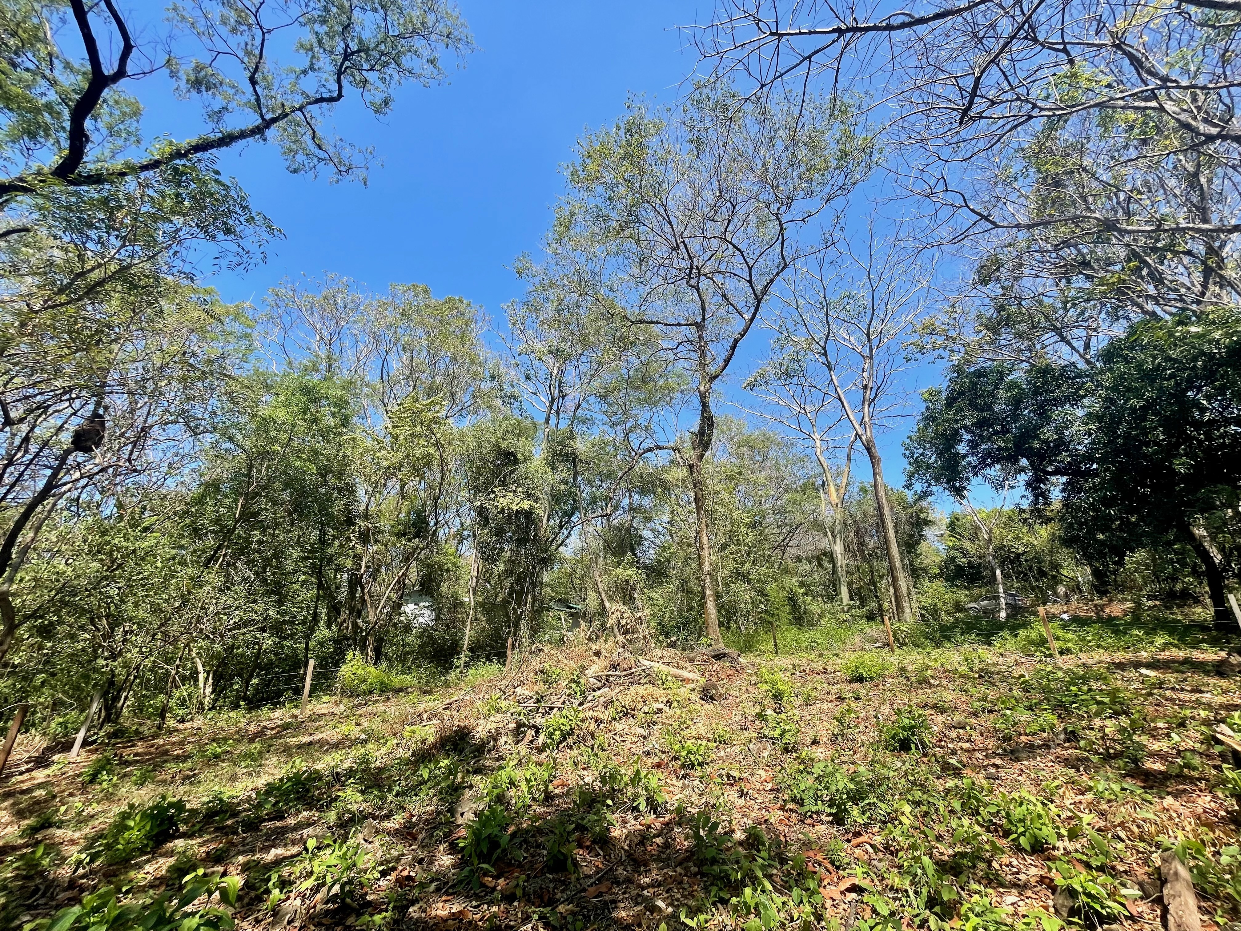 0 bed Land For Sale in Nosara, Guanacaste - thumb 1