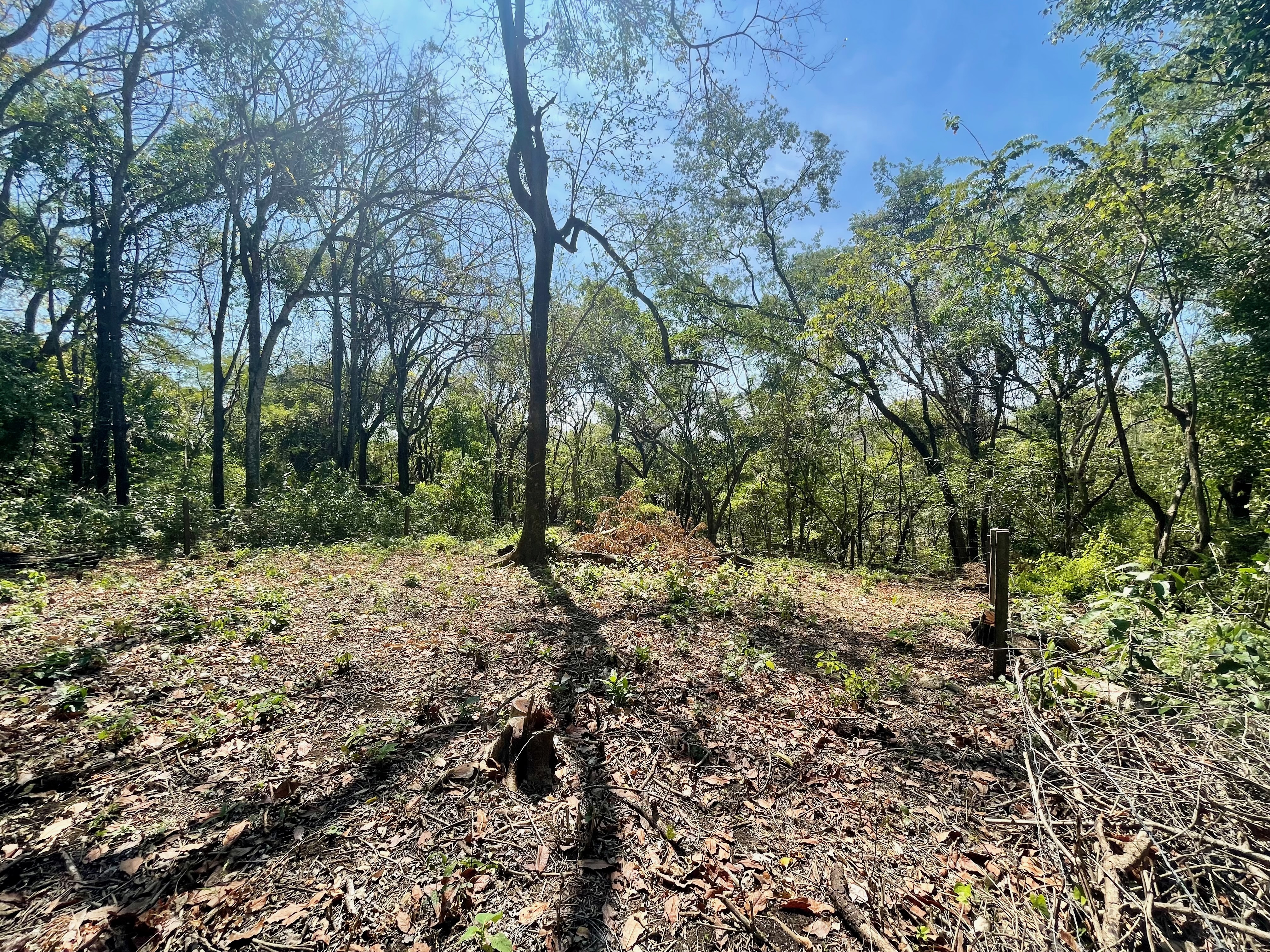 0 bed Land For Sale in Nosara, Guanacaste - thumb 3