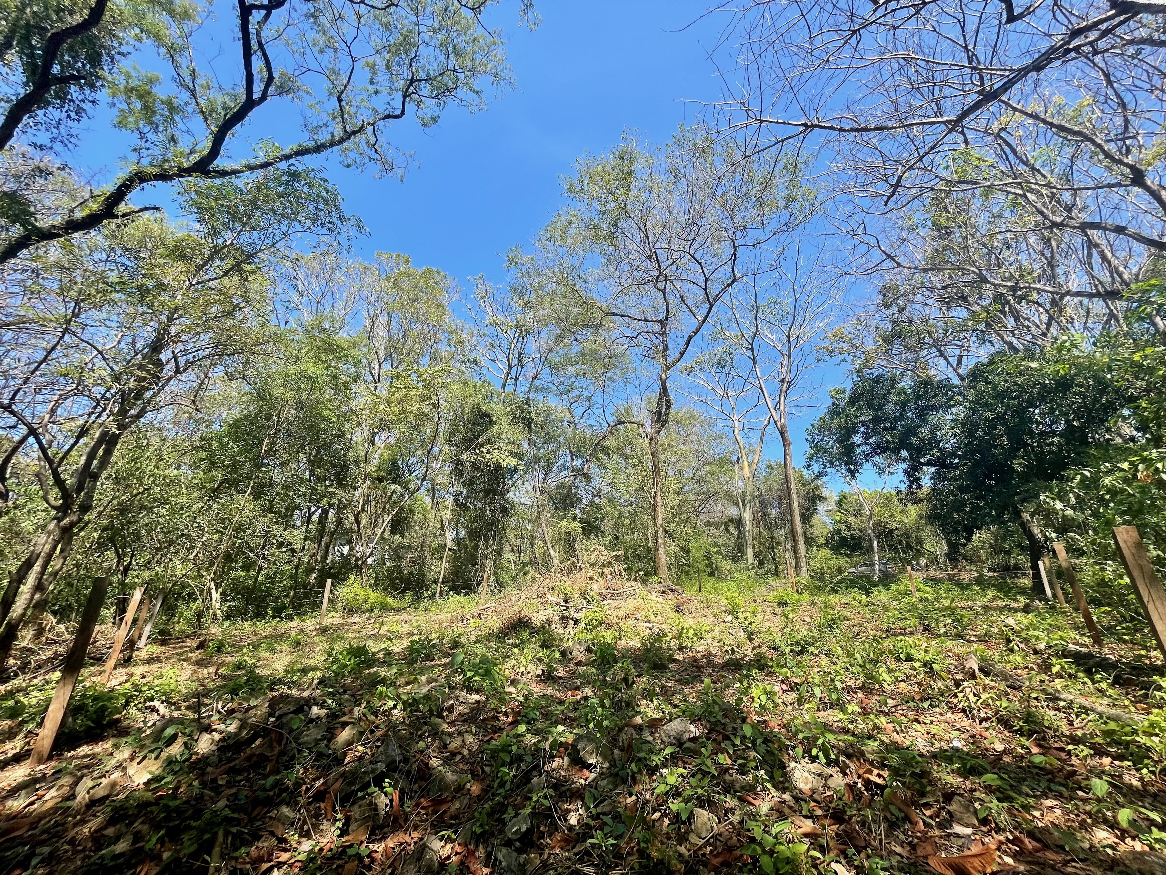0 bed Land For Sale in Nosara, Guanacaste - thumb 12