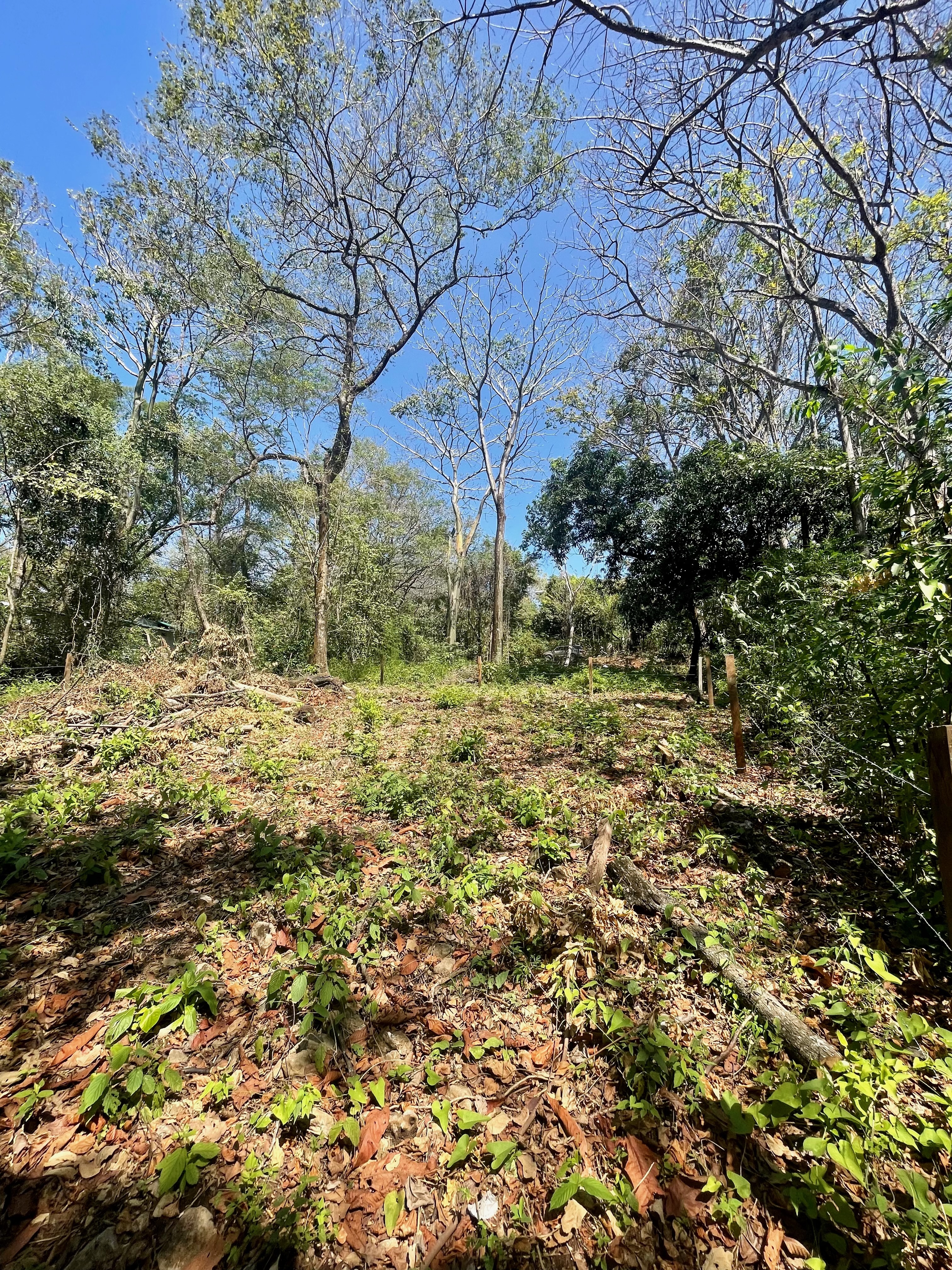 0 bed Land For Sale in Nosara, Guanacaste - thumb 9