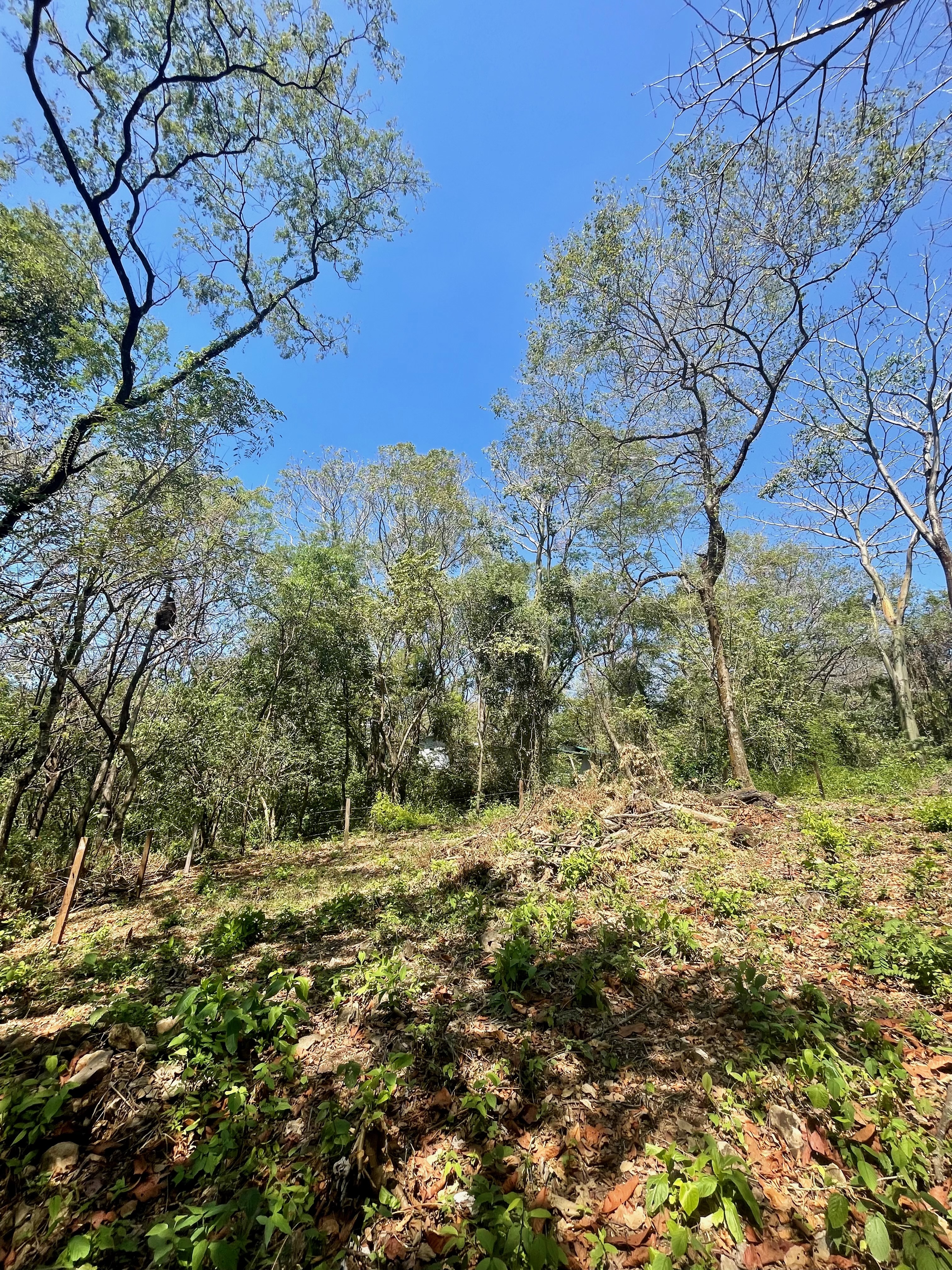 0 bed Land For Sale in Nosara, Guanacaste - thumb 10