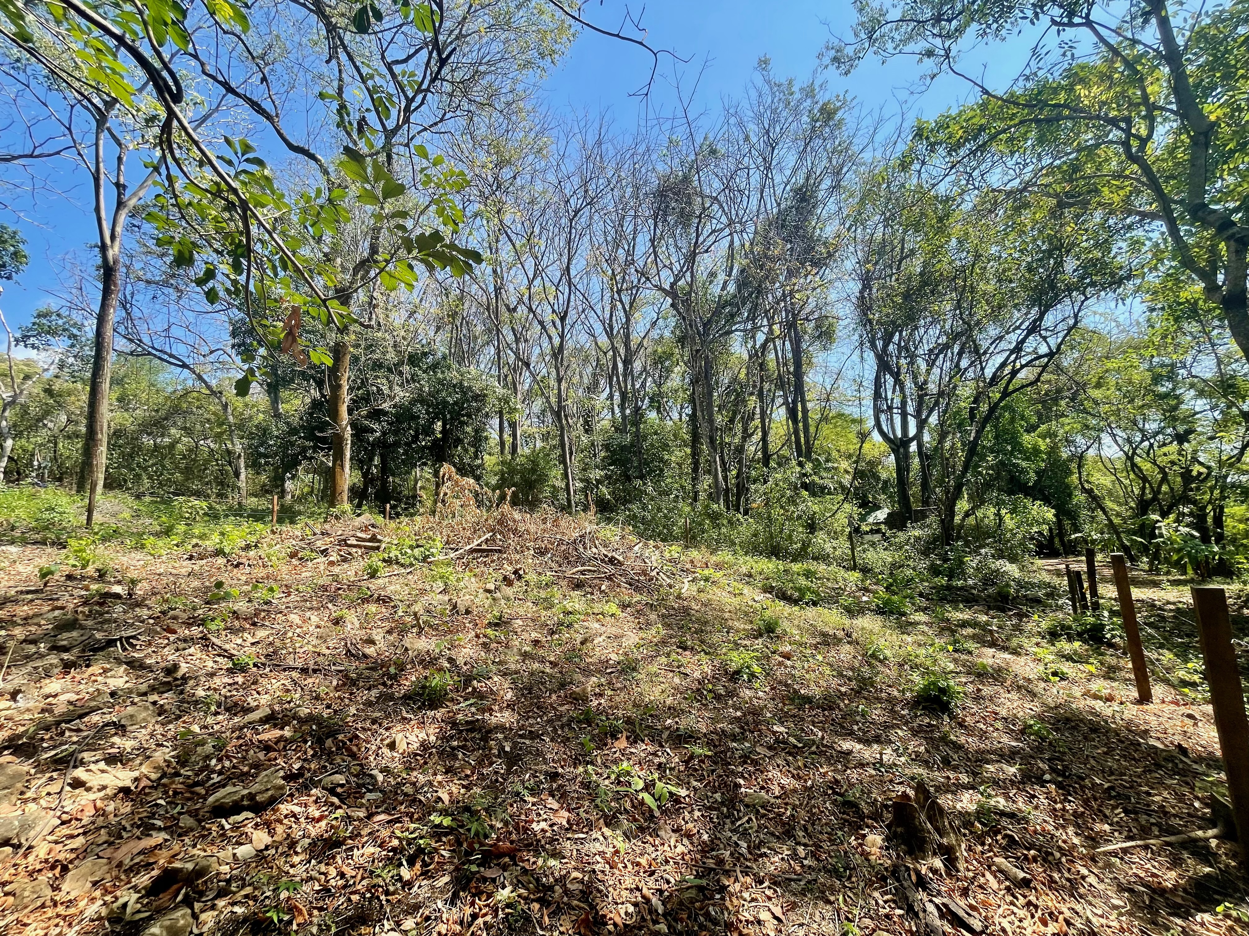 0 bed Land For Sale in Nosara, Guanacaste - thumb 14