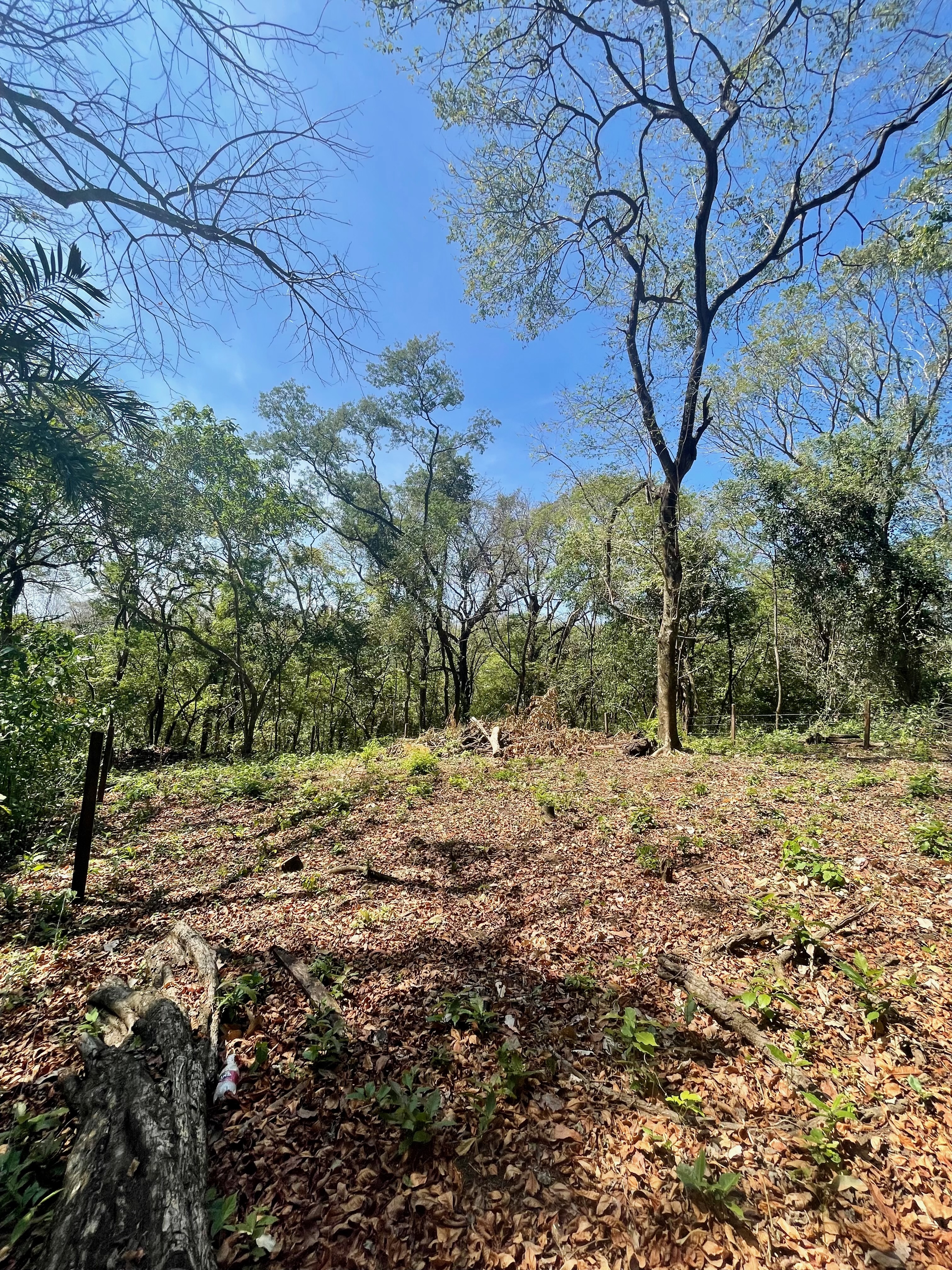 0 bed Land For Sale in Nosara, Guanacaste - thumb 6