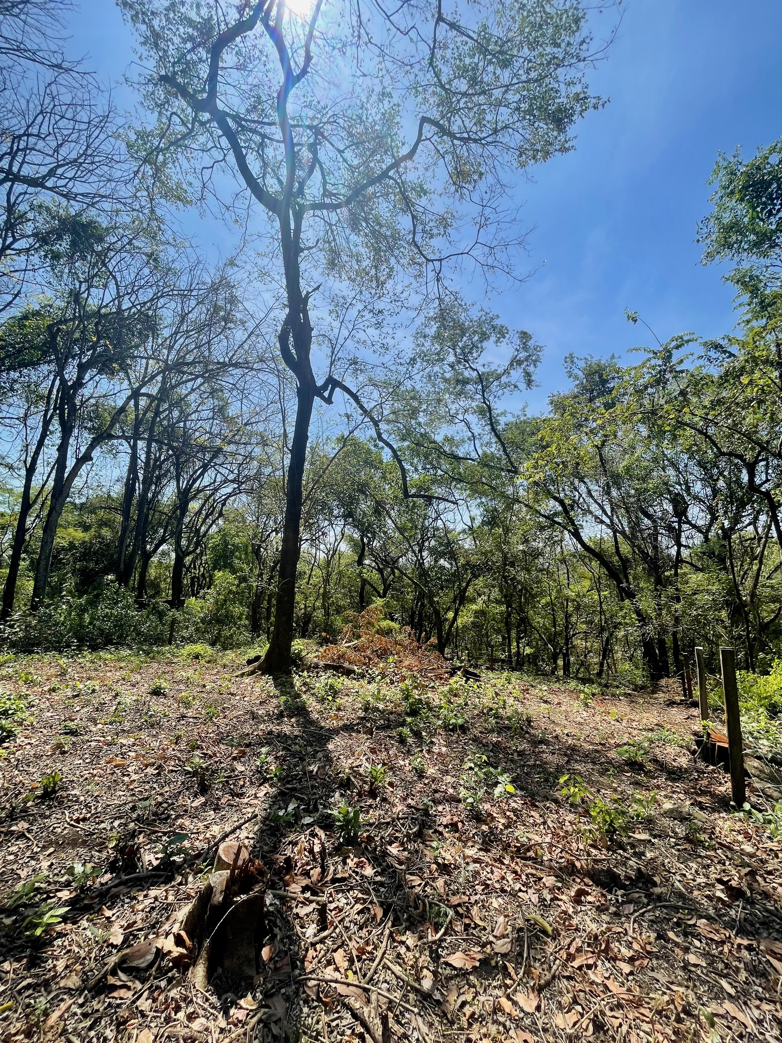 0 bed Land For Sale in Nosara, Guanacaste - thumb 16