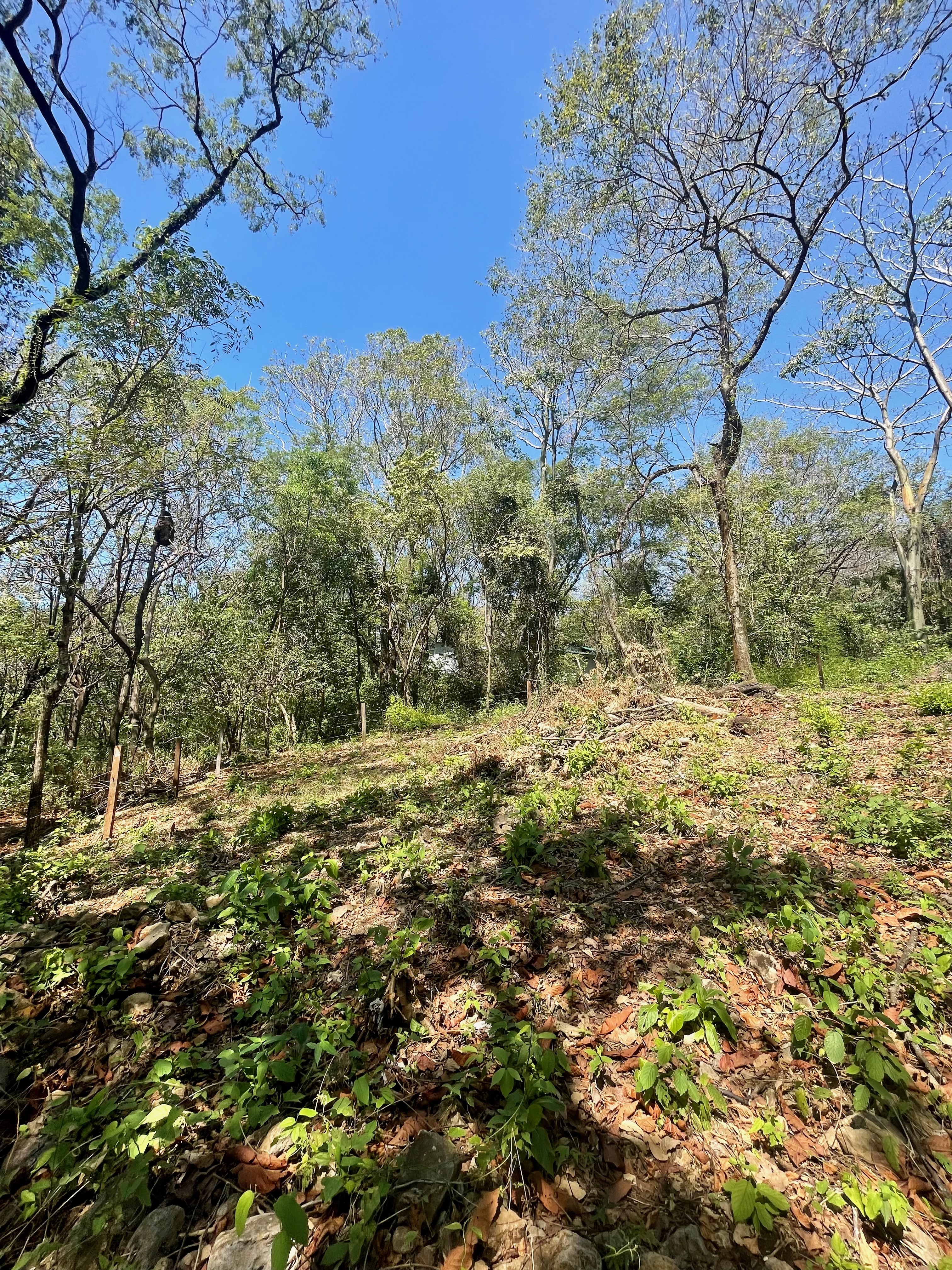 0 bed Land For Sale in Nosara, Guanacaste - thumb 2