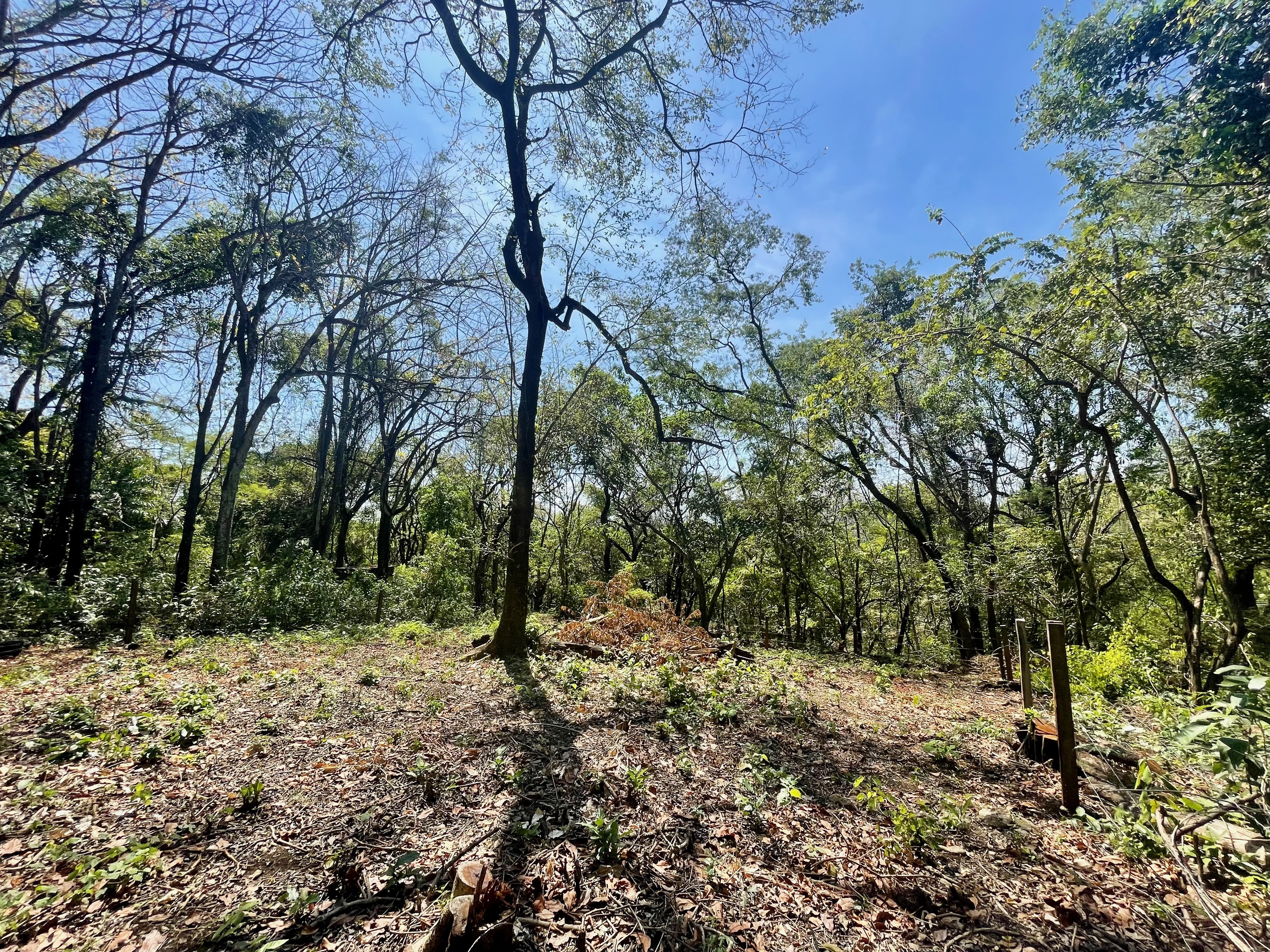 0 bed Land For Sale in Nosara, Guanacaste - thumb 18