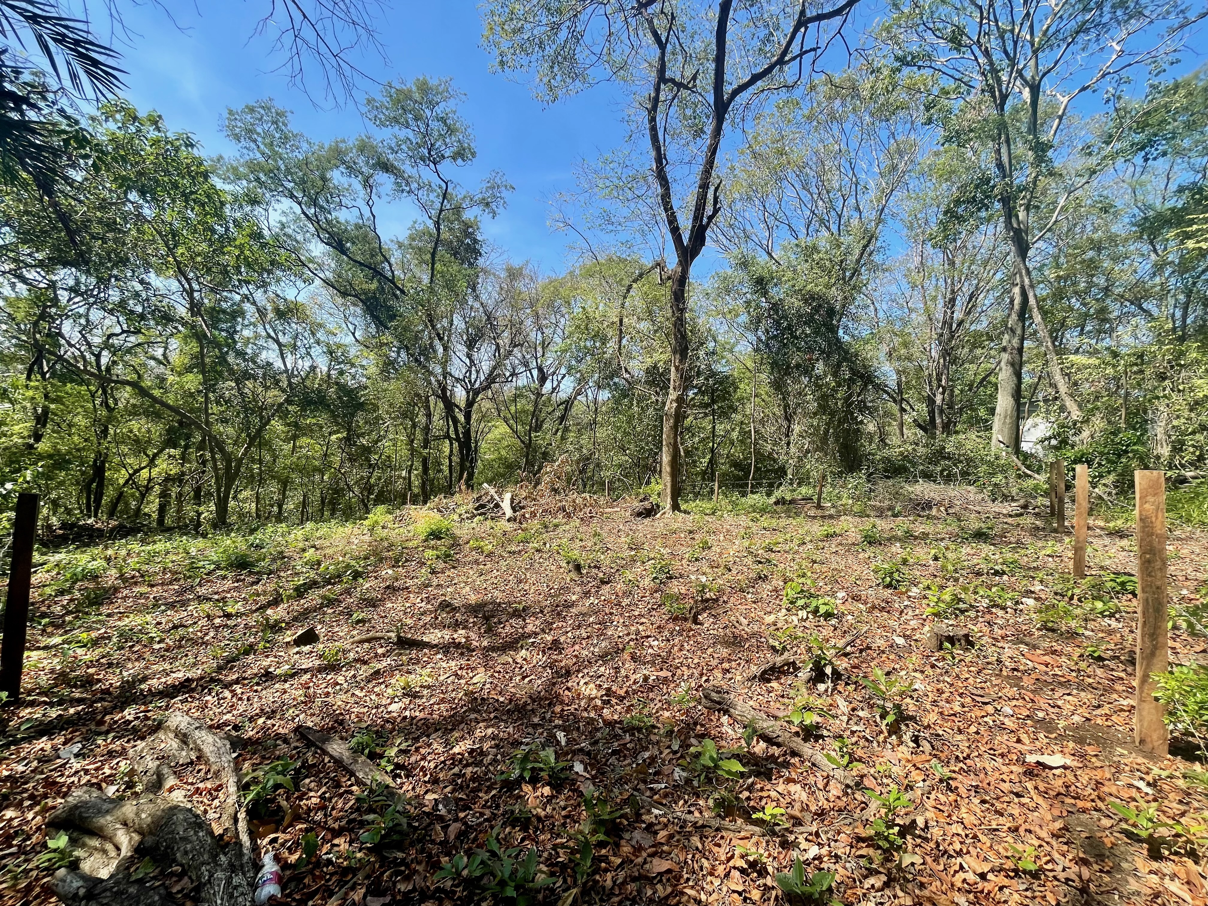 0 bed Land For Sale in Nosara, Guanacaste - thumb 7