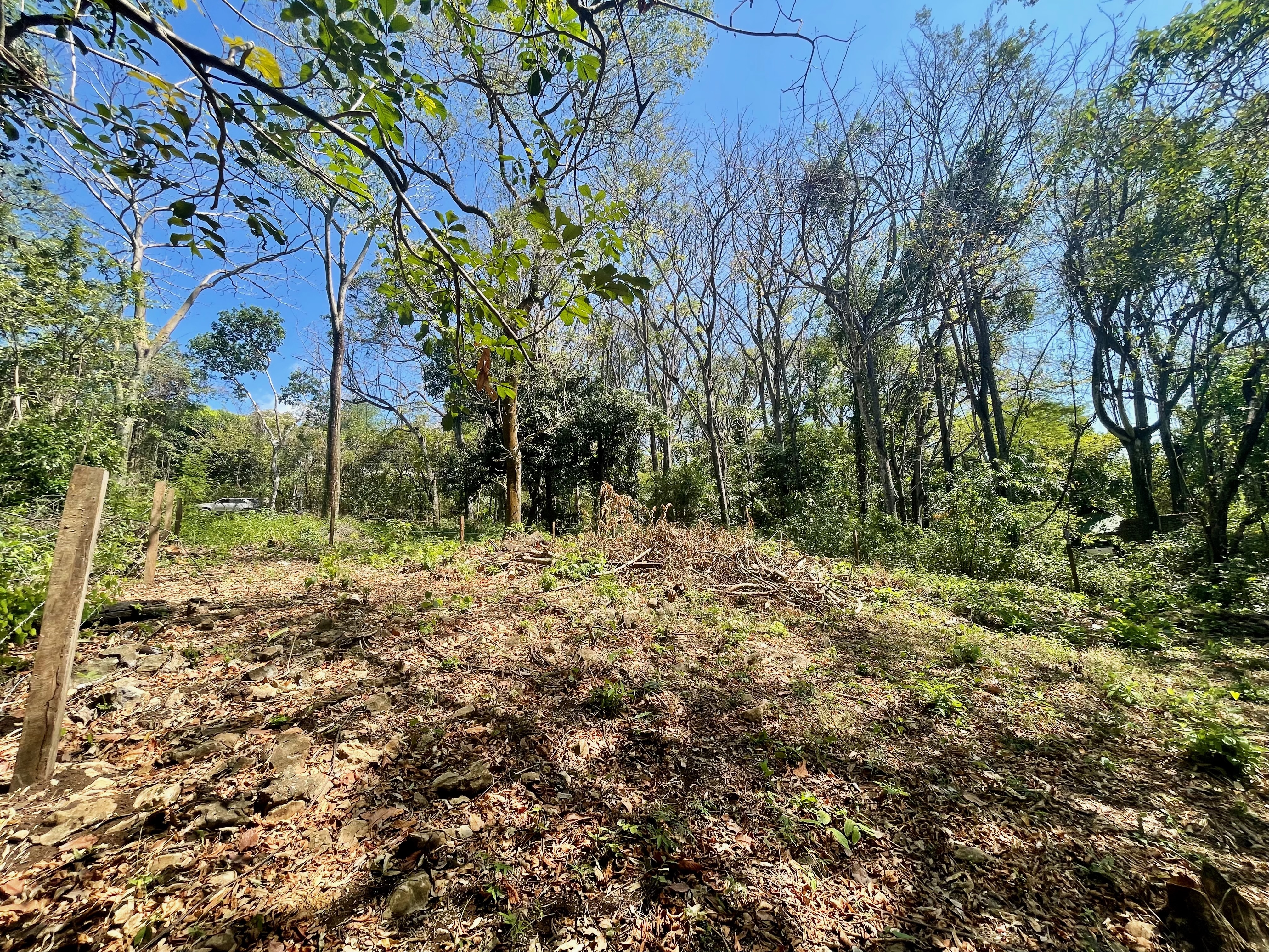 0 bed Land For Sale in Nosara, Guanacaste - thumb 13