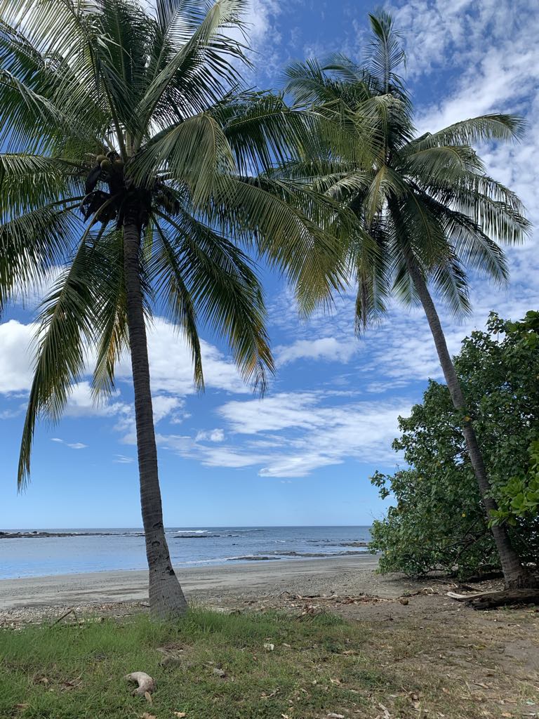 0 bed Land For Sale in Lagarto, Guanacaste - thumb 8