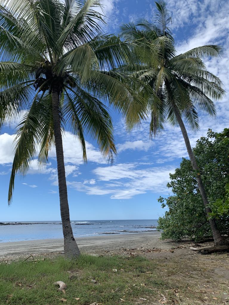 0 bed Land For Sale in Lagarto, Guanacaste - thumb 11