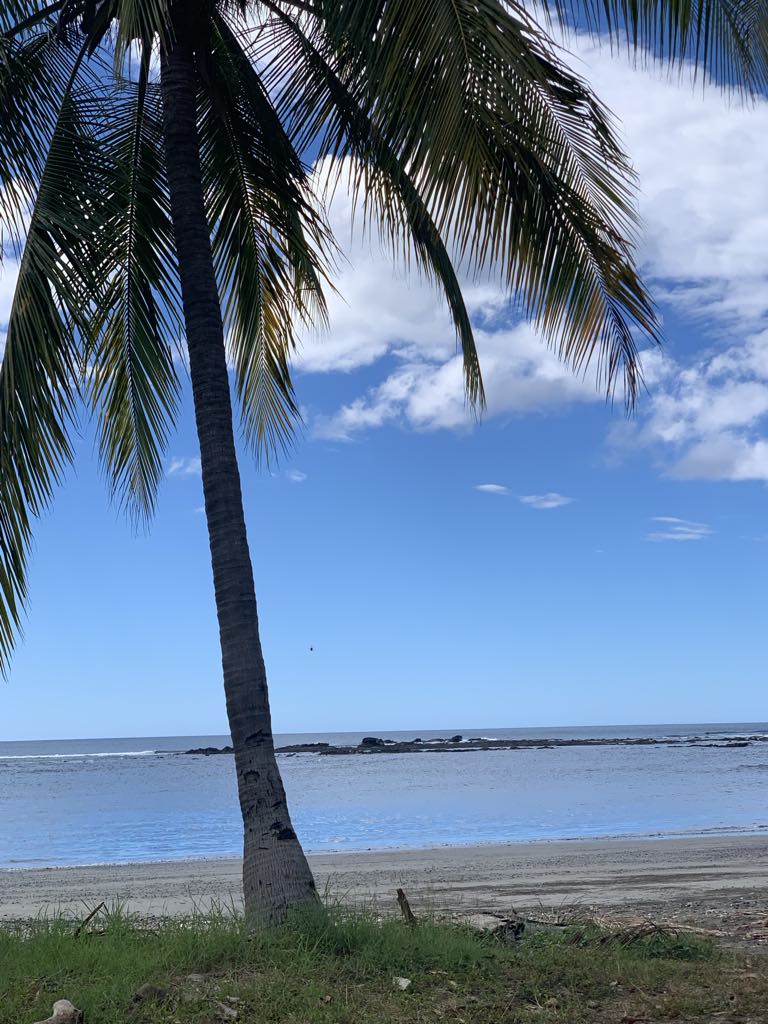 0 bed Land For Sale in Lagarto, Guanacaste - thumb 8