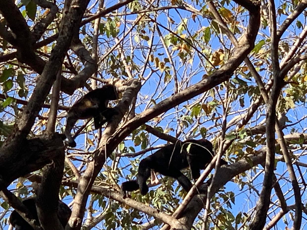 0 bed Land For Sale in Lagarto, Guanacaste - thumb 12