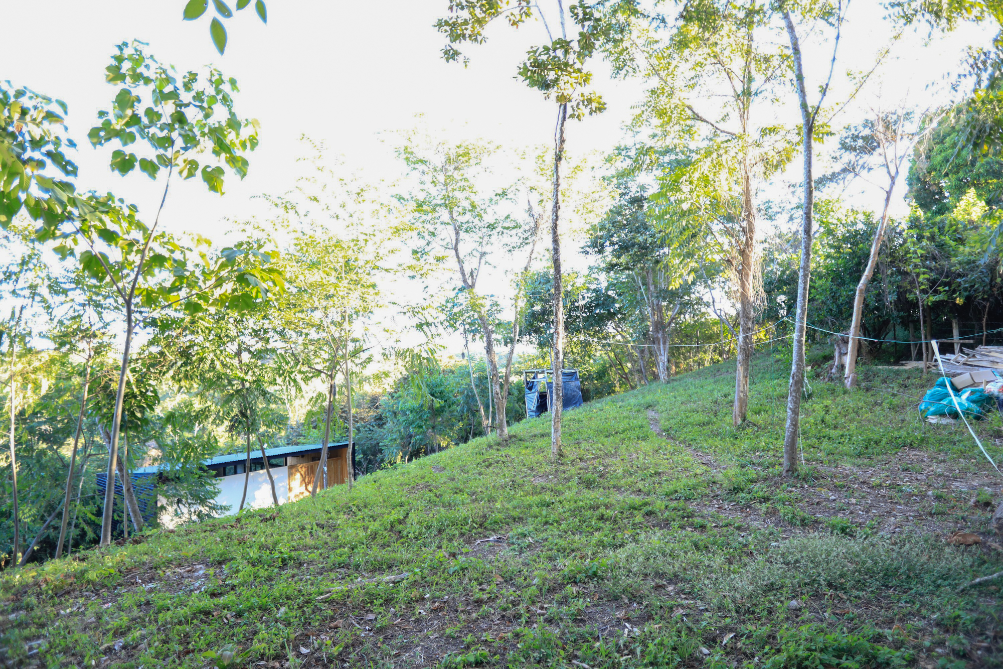 3 bed Single Family Homes For Sale in Santiago, Puntarenas - thumb 28