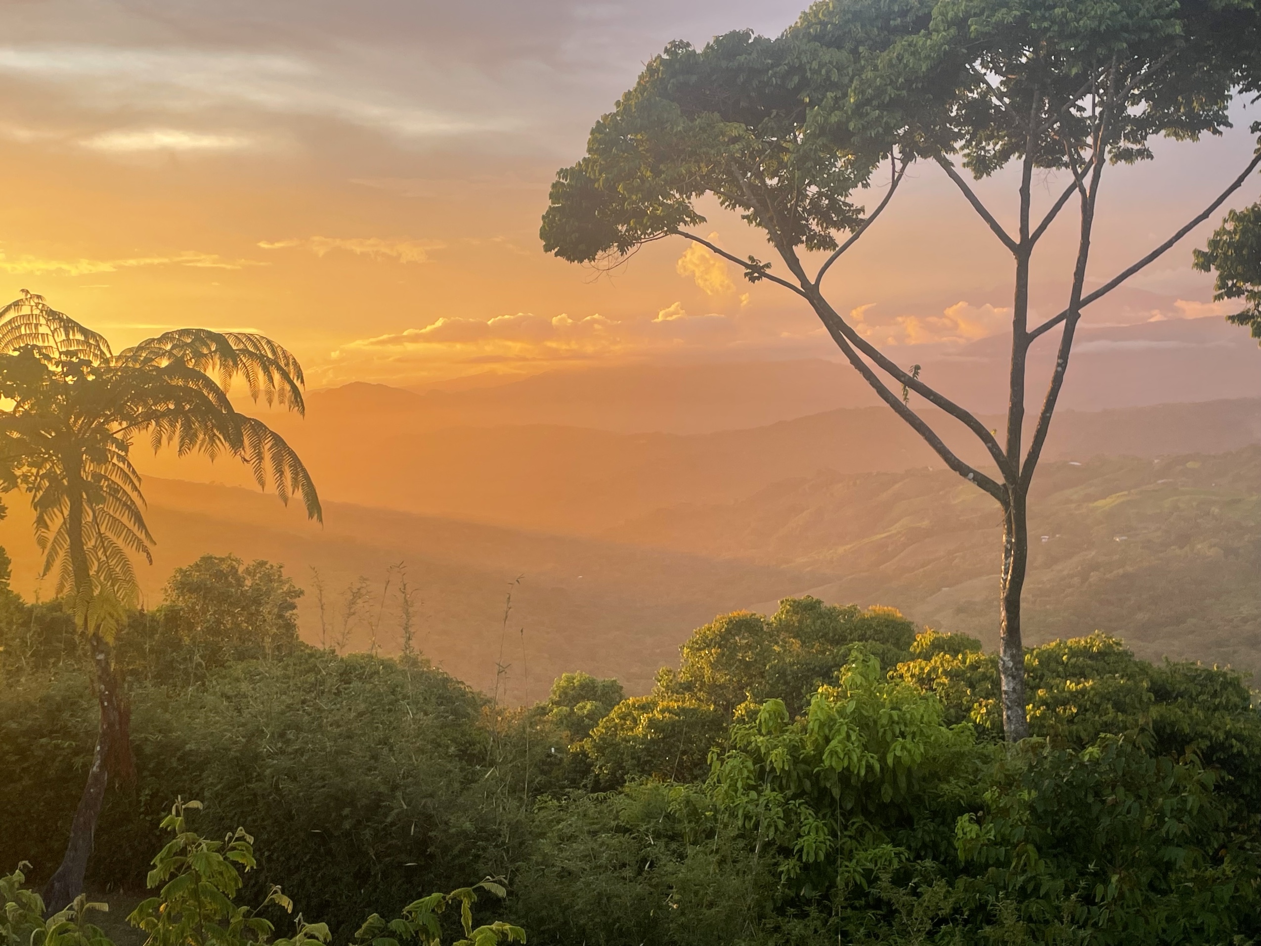 2 bed Single Family Homes For Sale in Dominical, Puntarenas - thumb 9