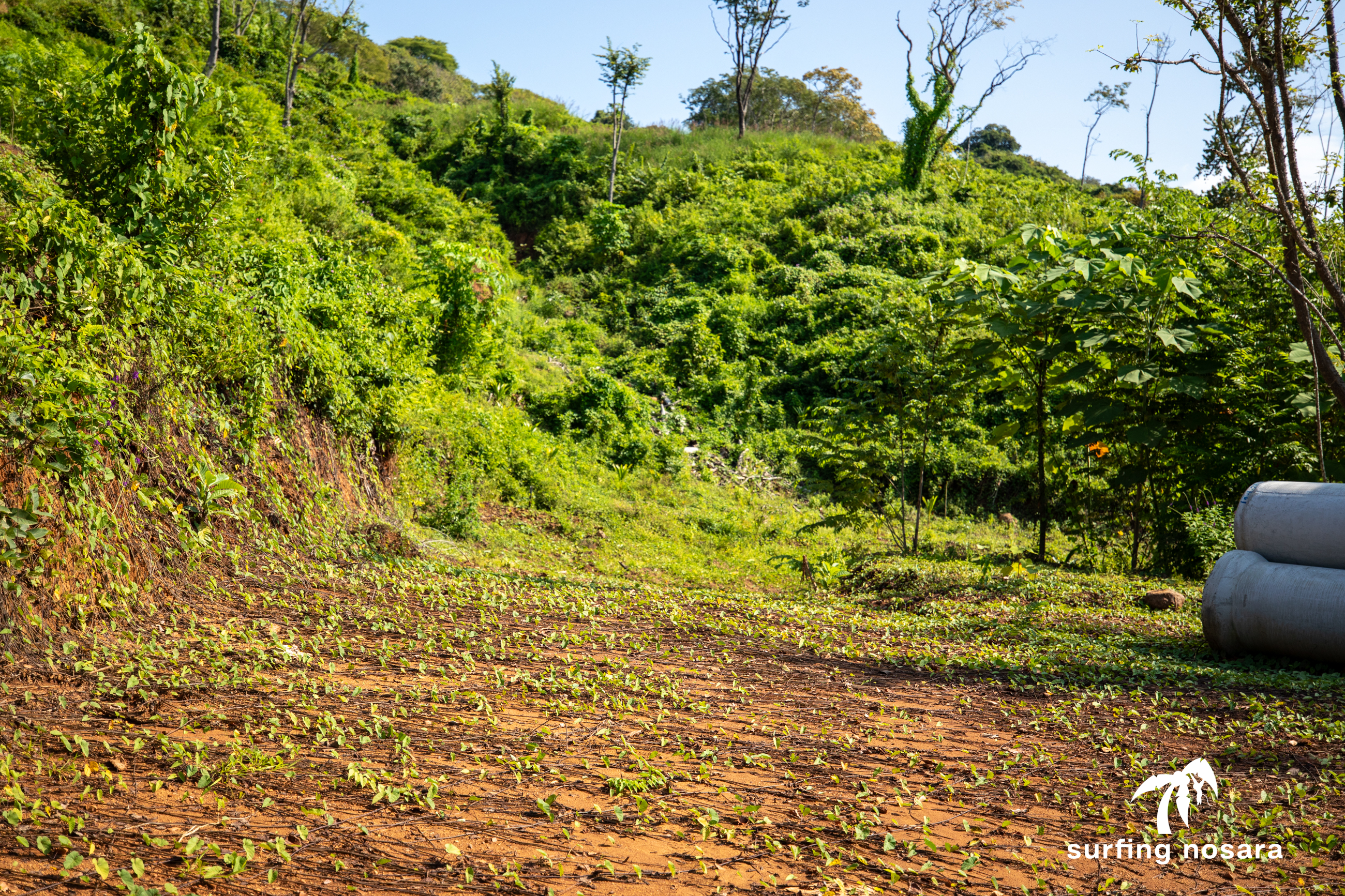 0 bed Land For Sale in Nosara, Guanacaste - thumb 10