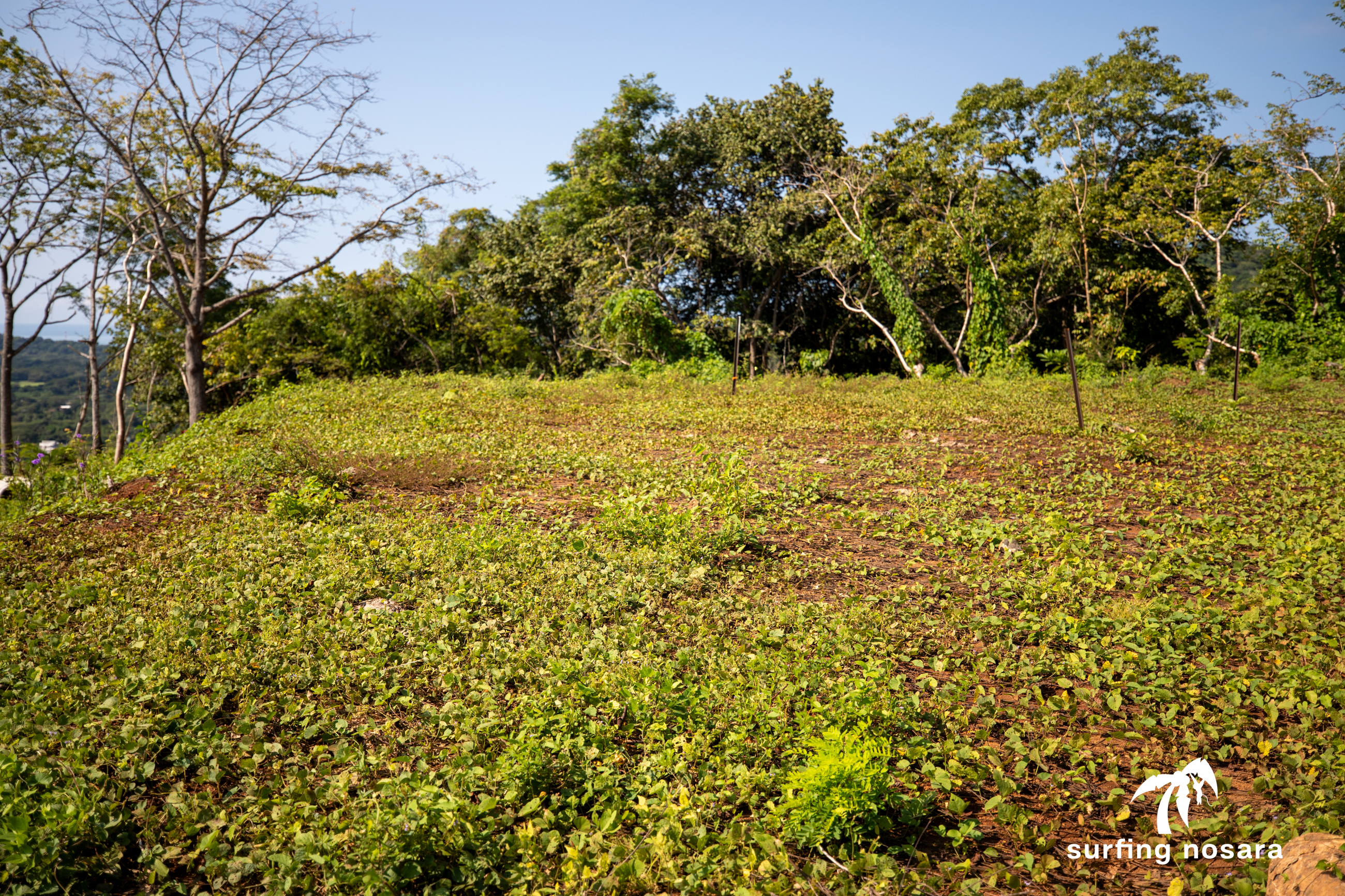 0 bed Land For Sale in Nosara, Guanacaste - thumb 11